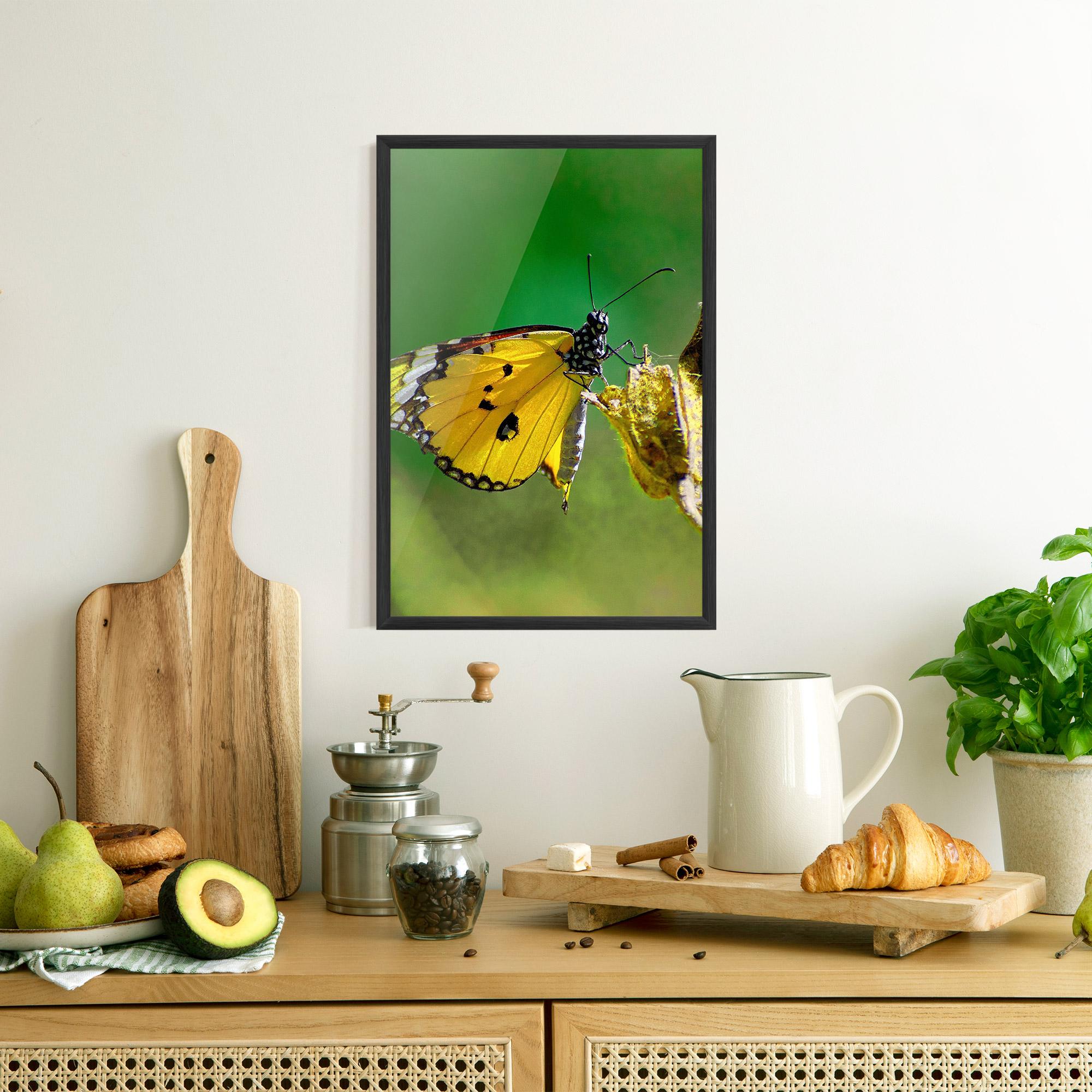 Poster Înrămat Yellow White Butterfly mockup 8