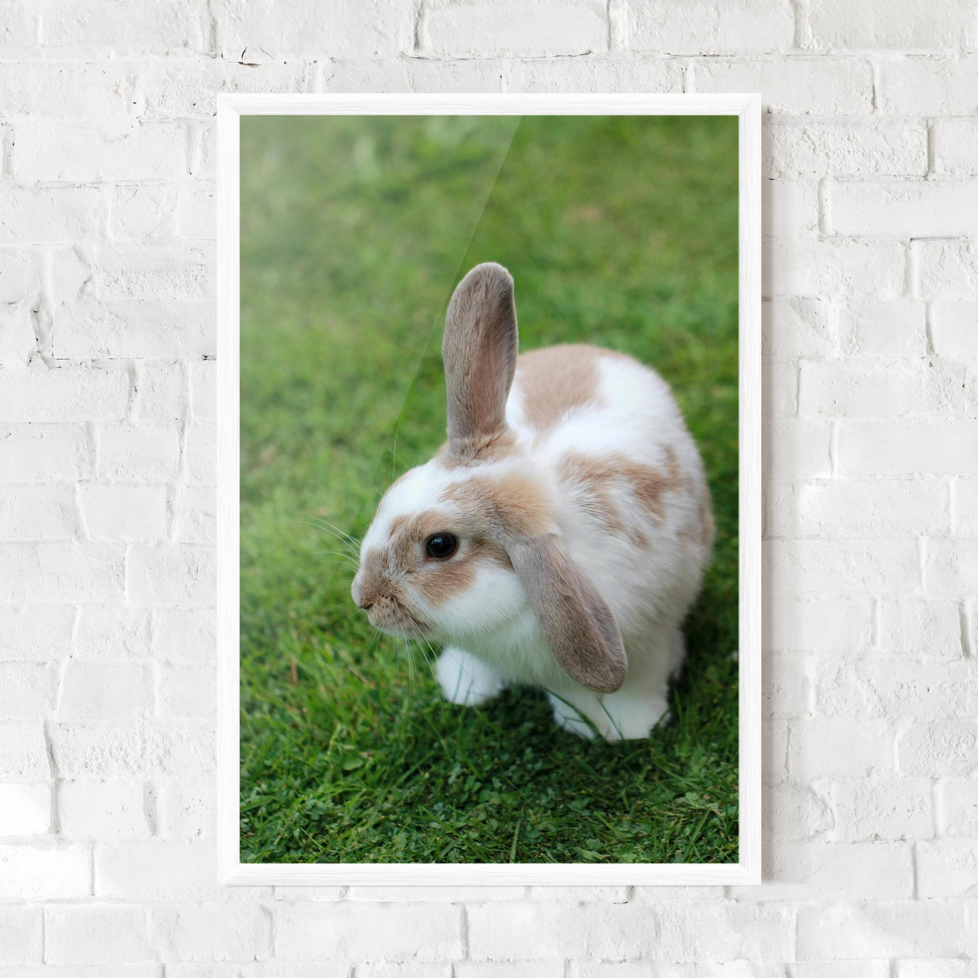 Poster Înrămat Light Orange Bunny mockup 0