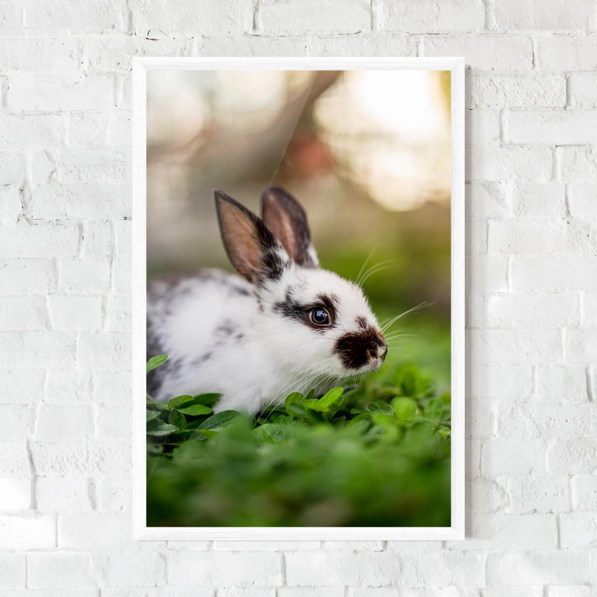 Poster Înrămat White Black Bunny mockup 0