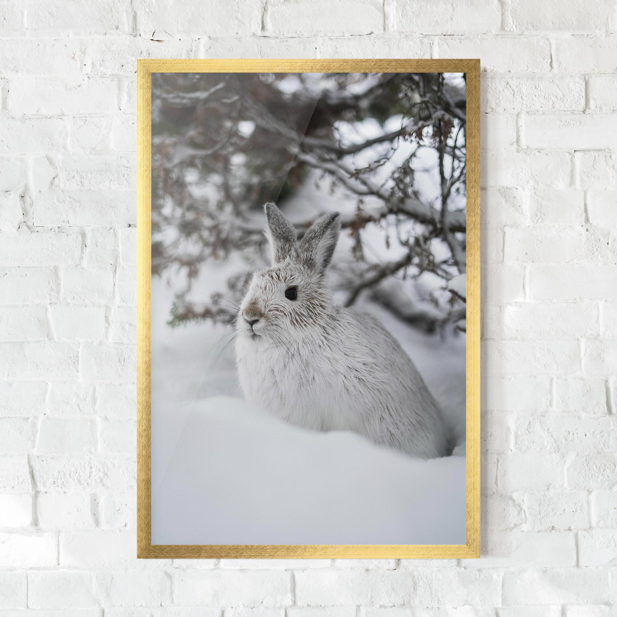 Poster Înrămat Bunny In Snow mockup 0