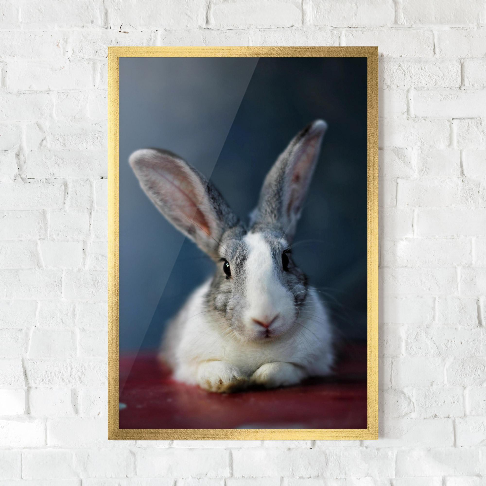 Poster Înrămat Cute Grey Bunny mockup 0