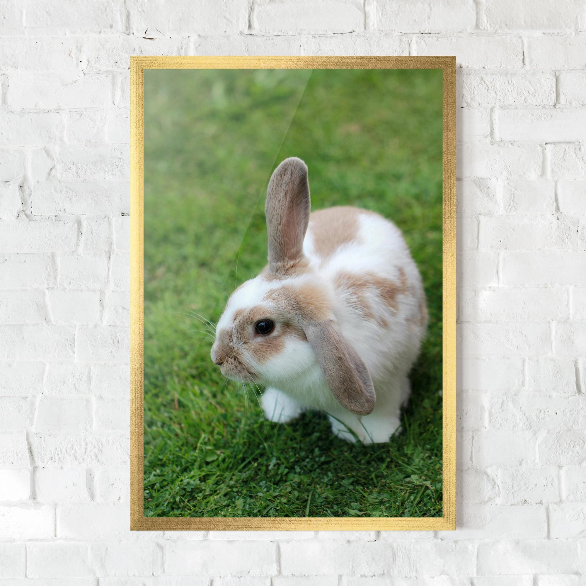 Poster Înrămat Light Orange Bunny mockup 0