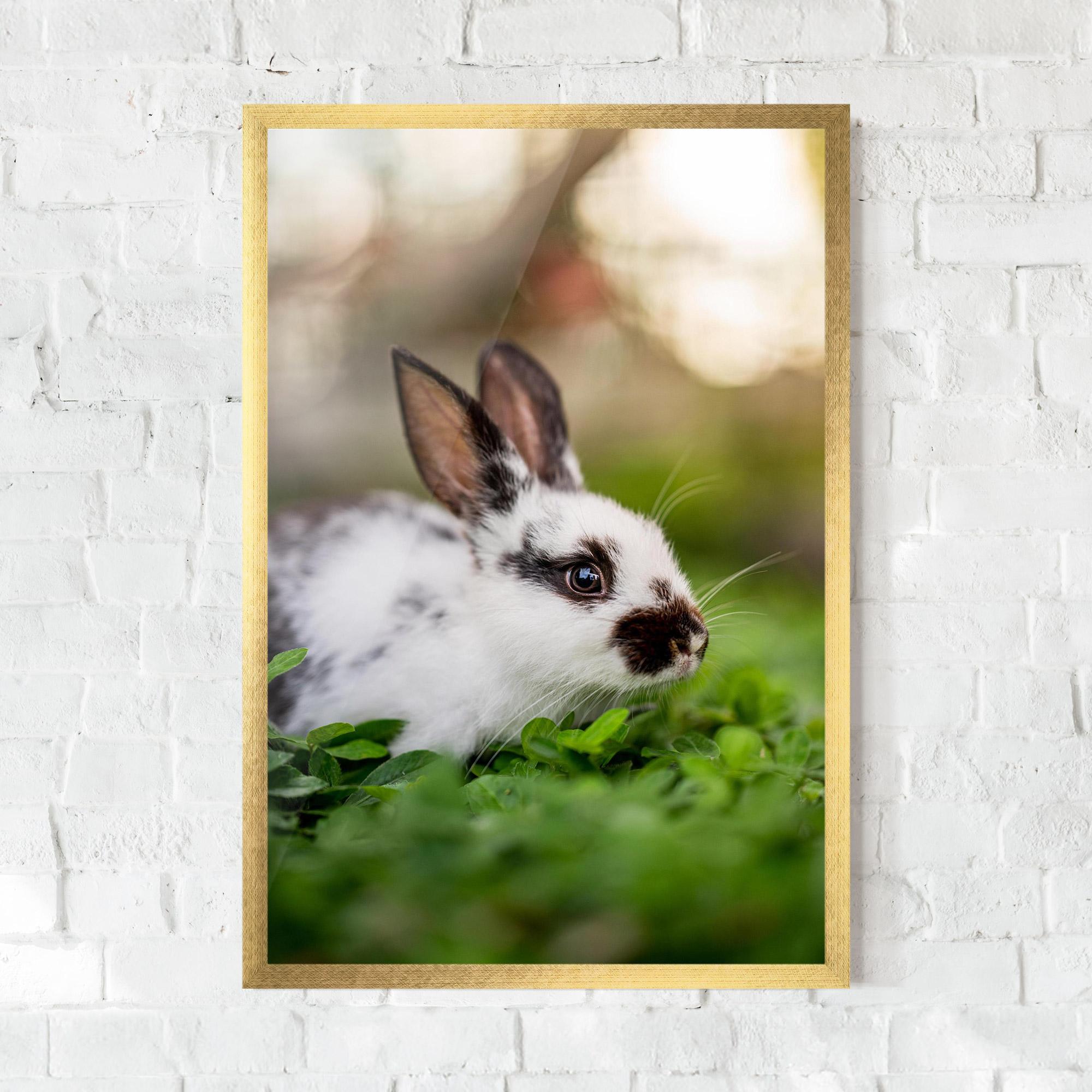 Poster Înrămat White Black Bunny mockup 0