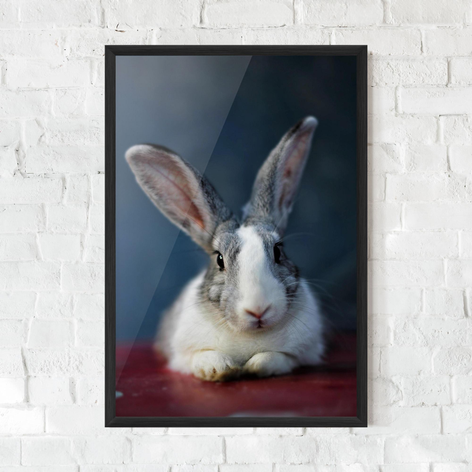 Poster Înrămat Cute Grey Bunny mockup 0