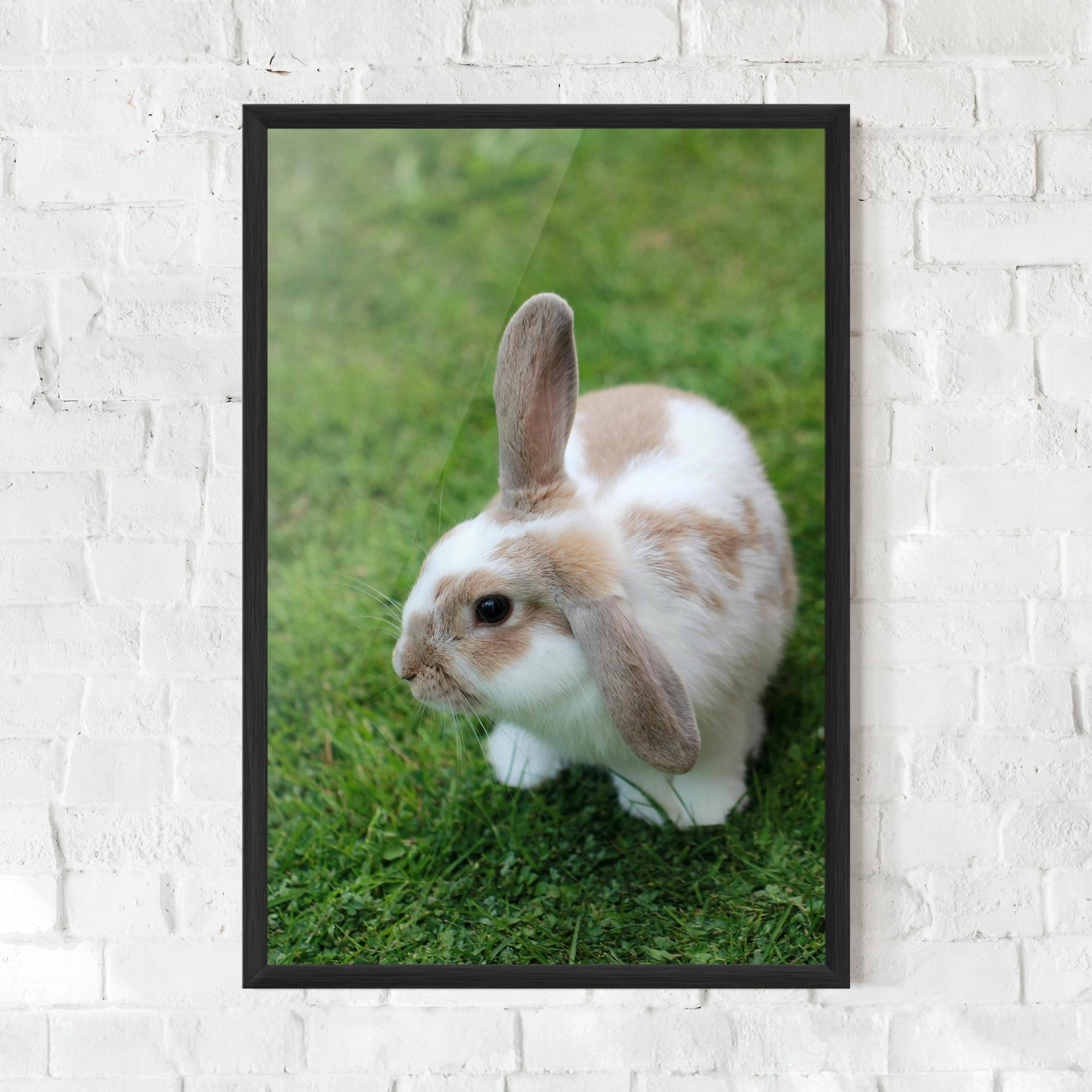 Poster Înrămat Light Orange Bunny mockup 0