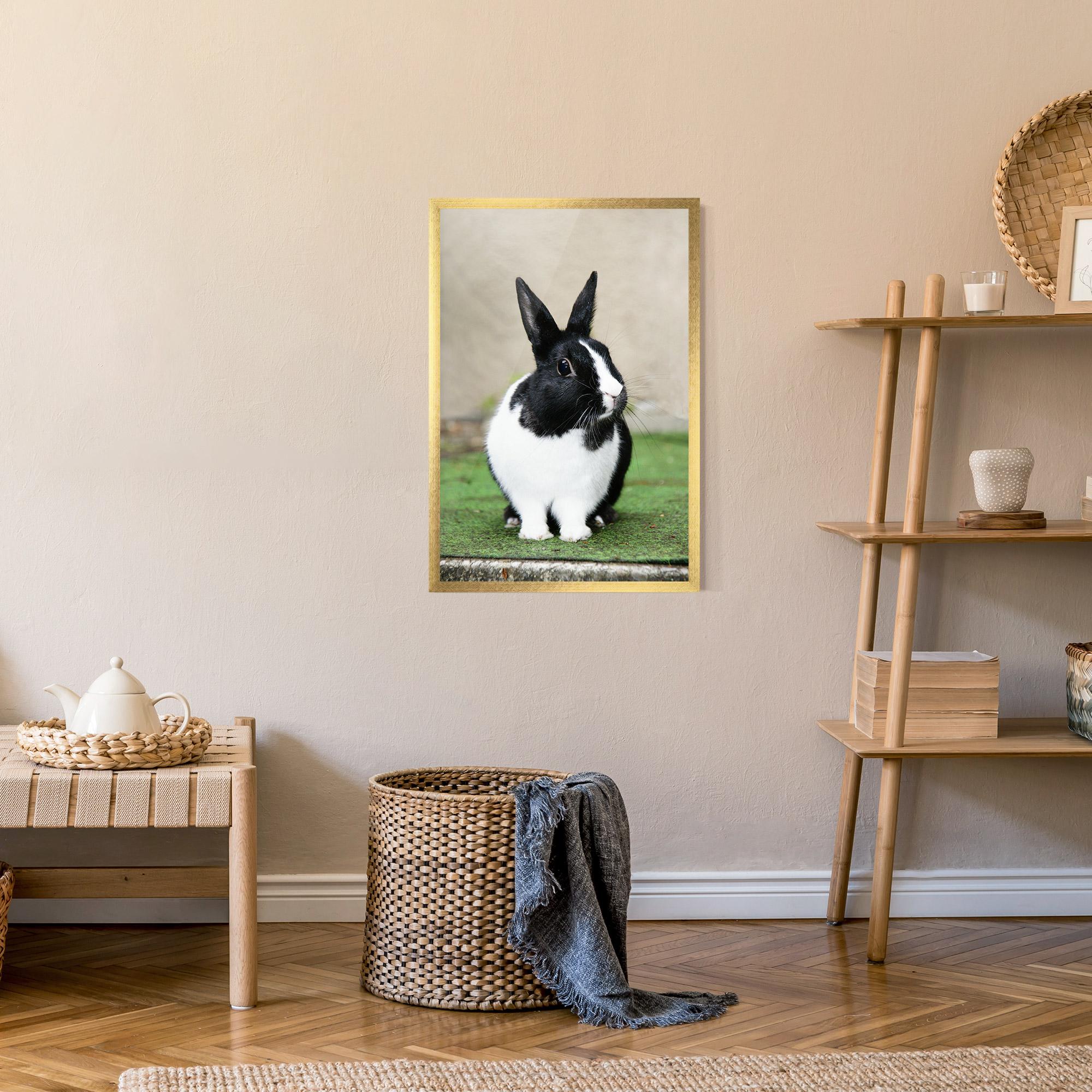 Poster Înrămat Black Ear Rabbit mockup 9