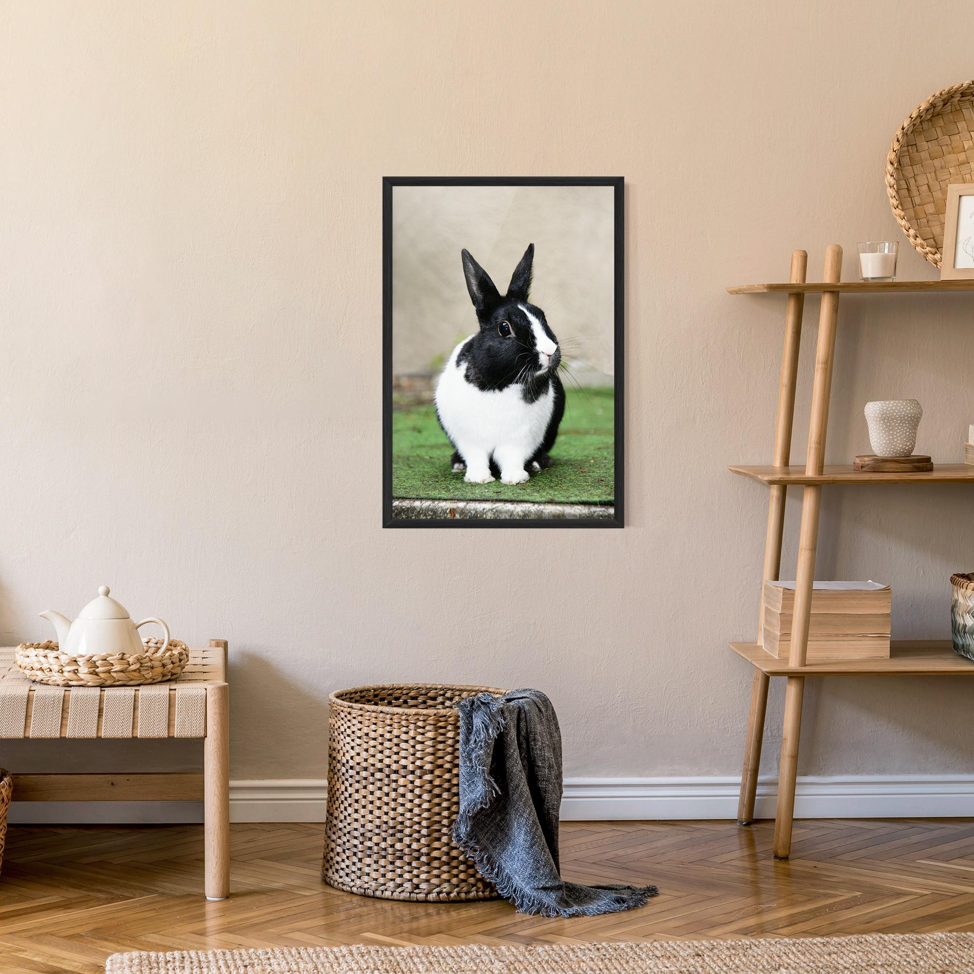 Poster Înrămat Black Ear Rabbit mockup 9