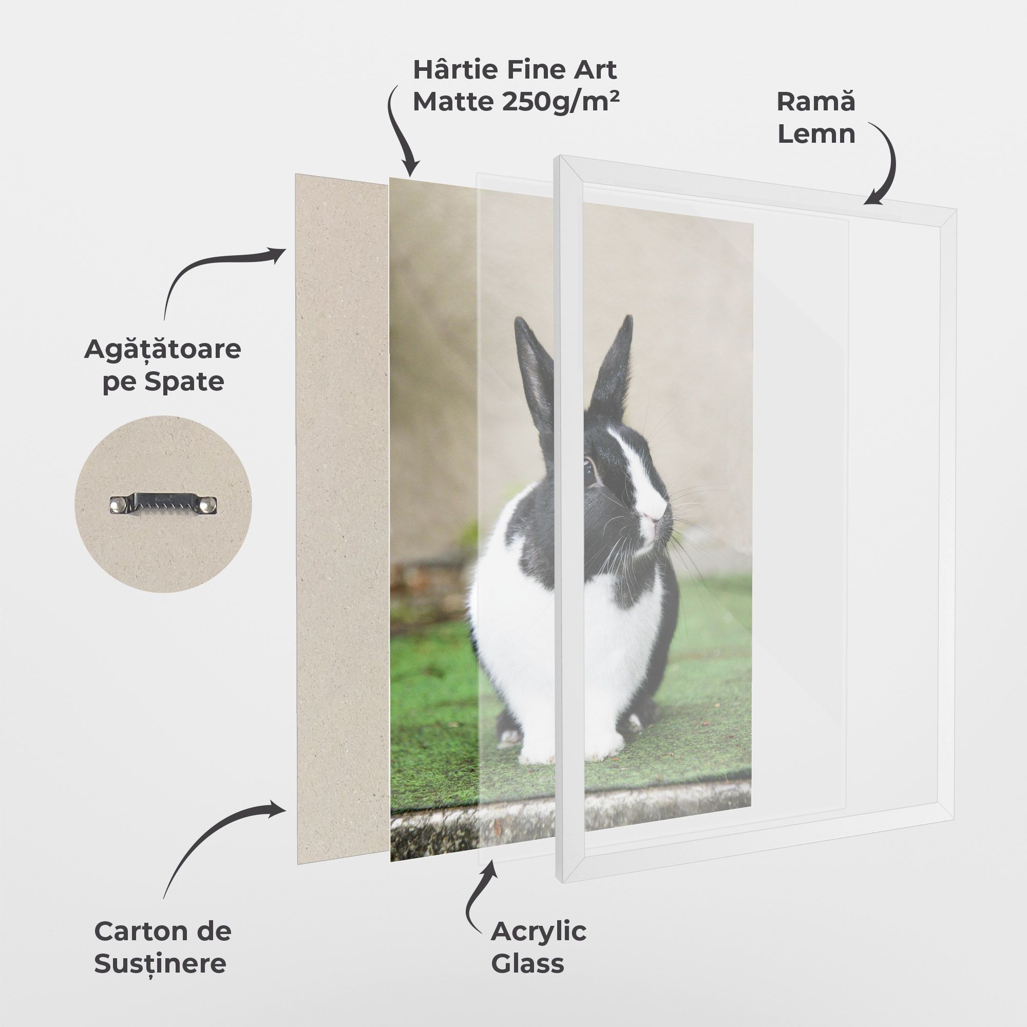 Black Ear Rabbit mockup 1