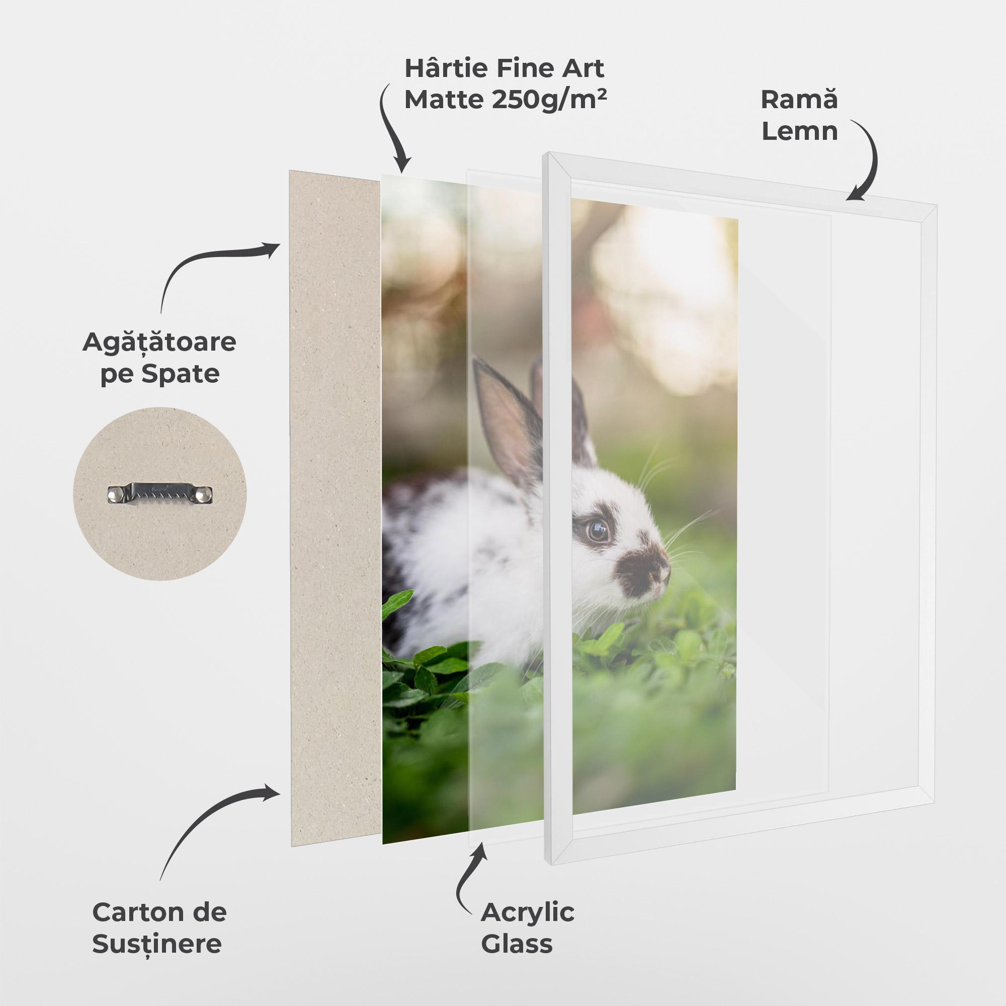 Poster Înrămat White Black Bunny mockup 1