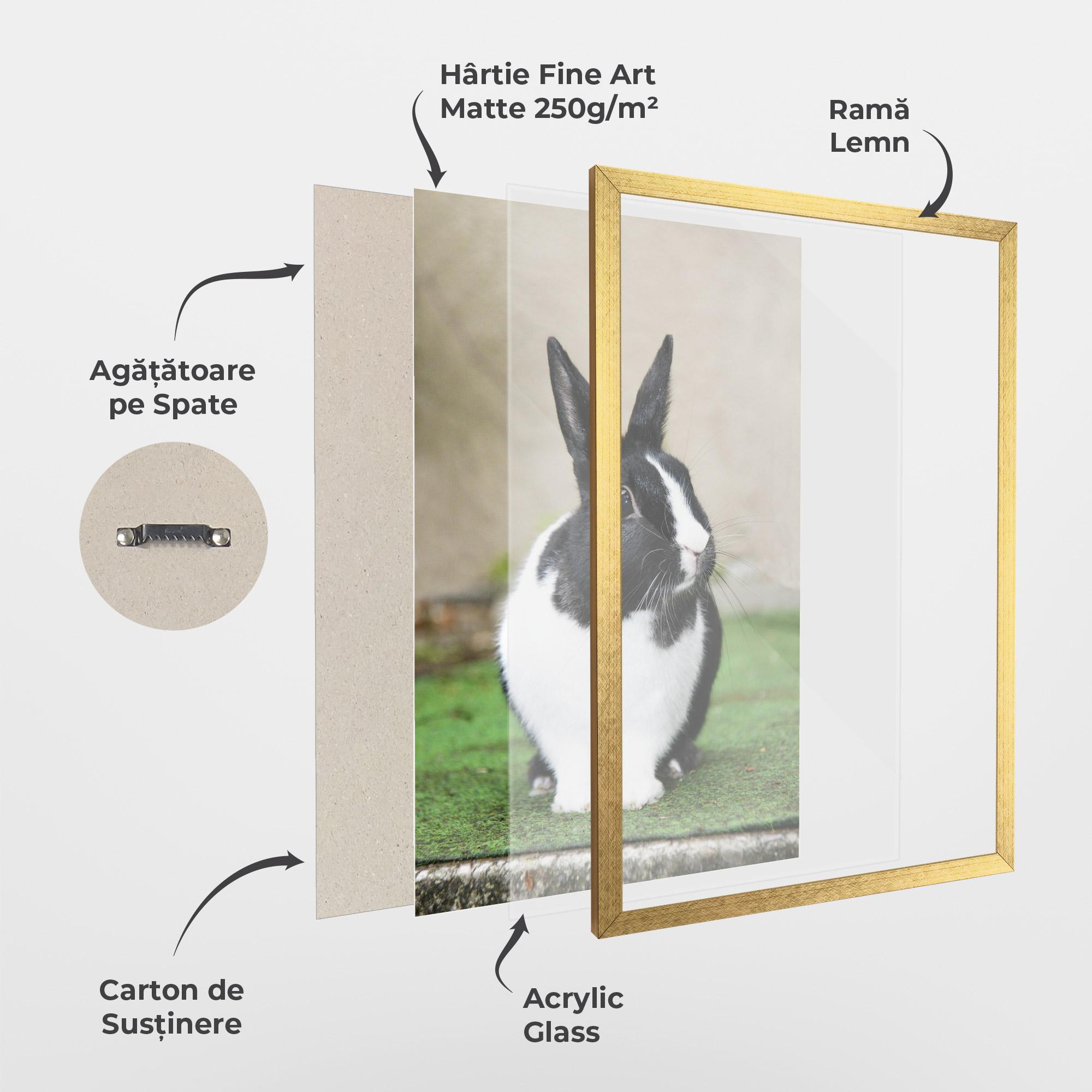 Poster Înrămat Black Ear Rabbit mockup 1