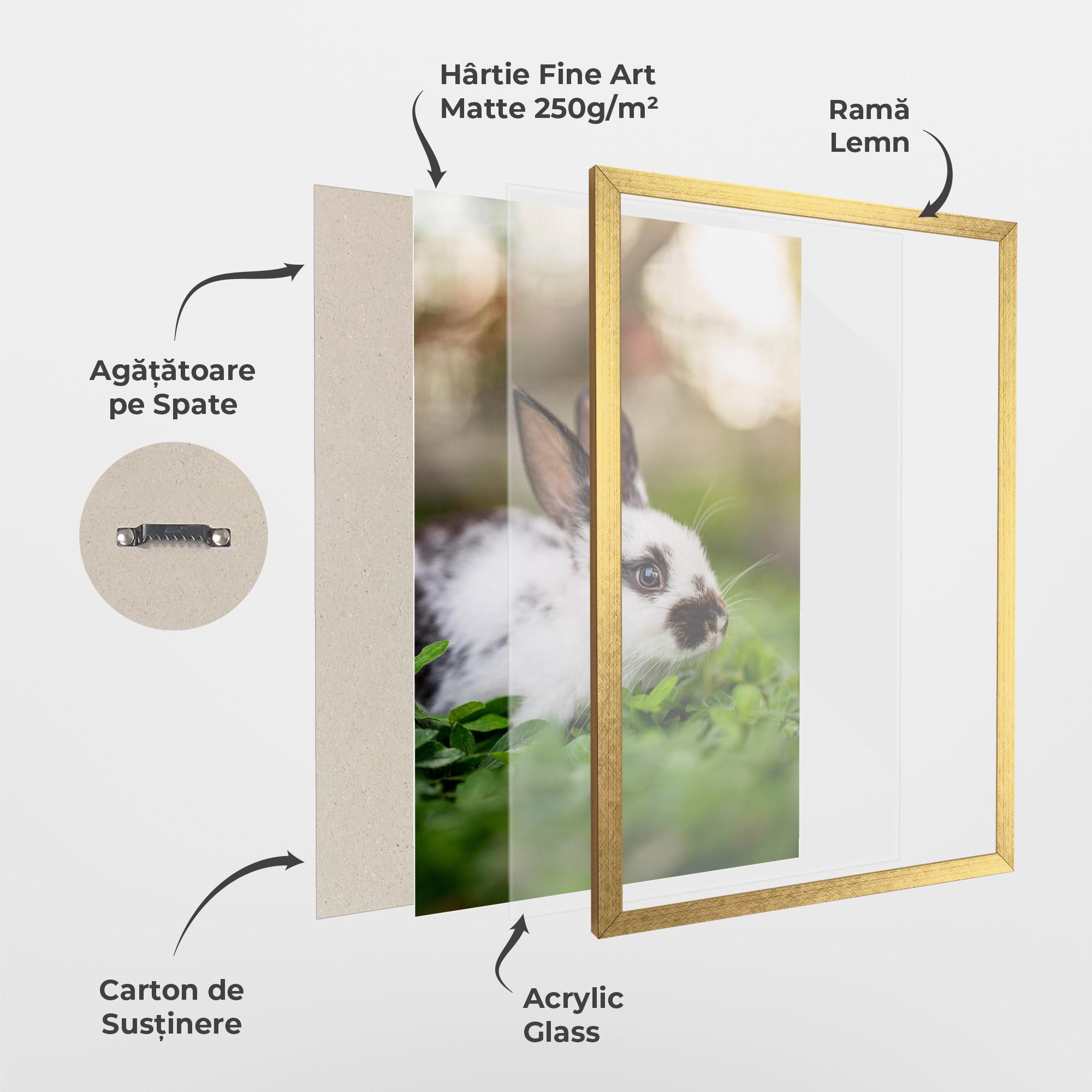 Poster Înrămat White Black Bunny mockup 1