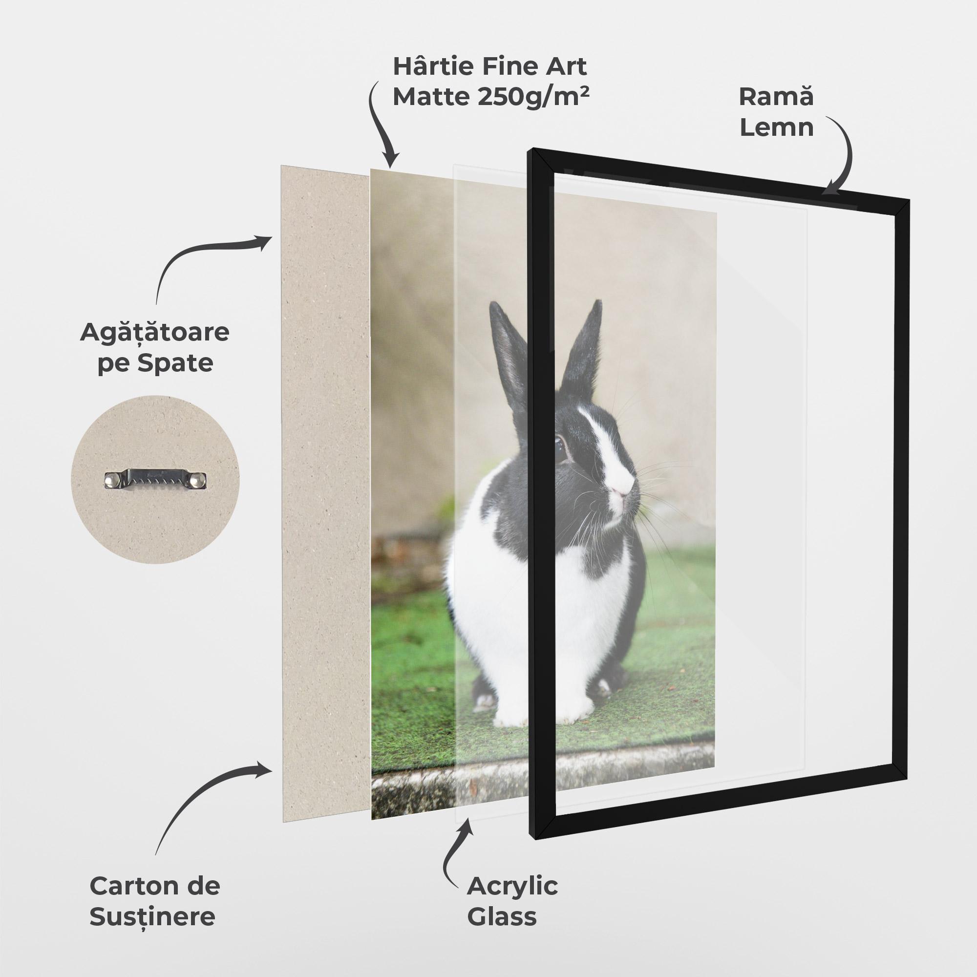 Poster Înrămat Black Ear Rabbit mockup 1