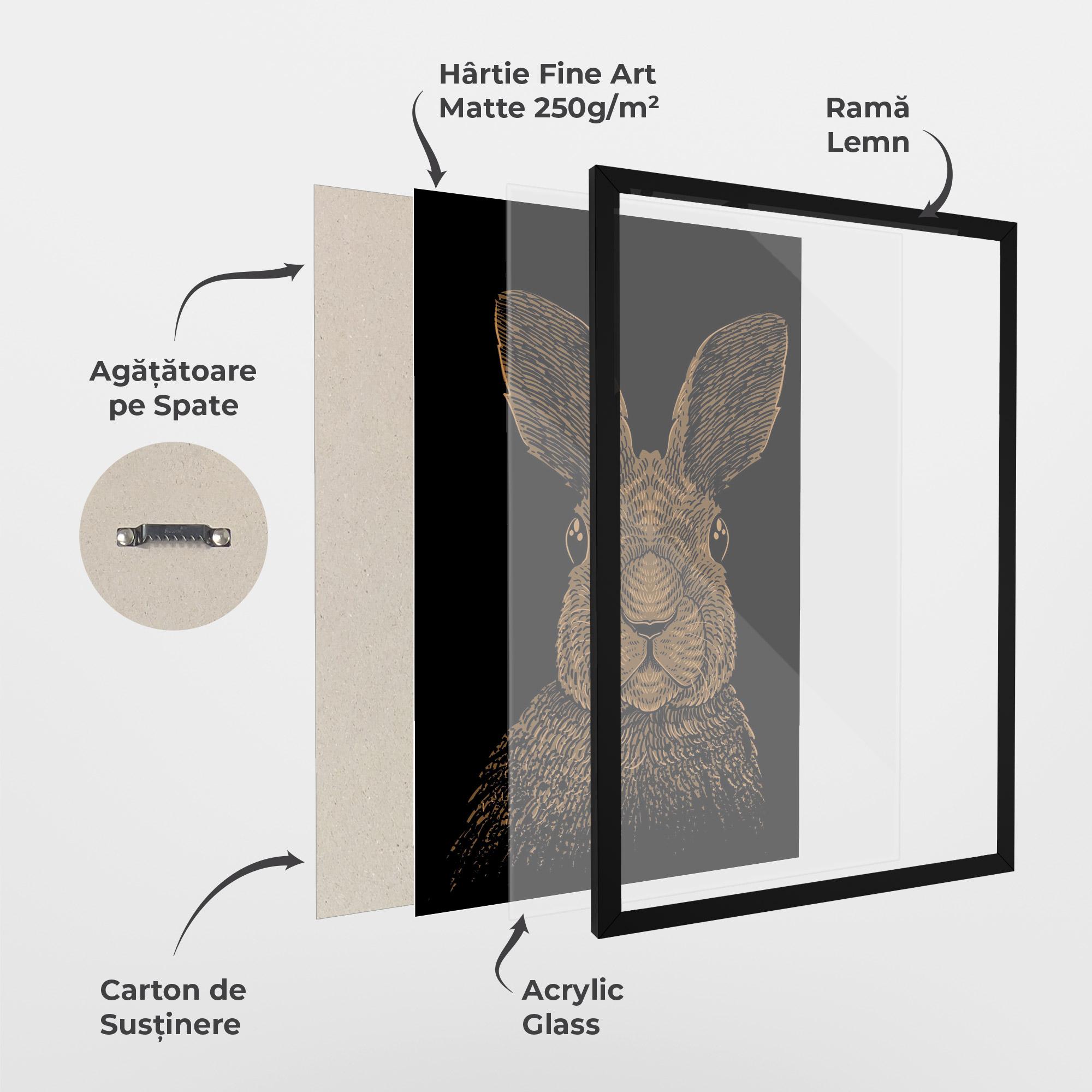 Poster Înrămat Brown Bunny mockup 1