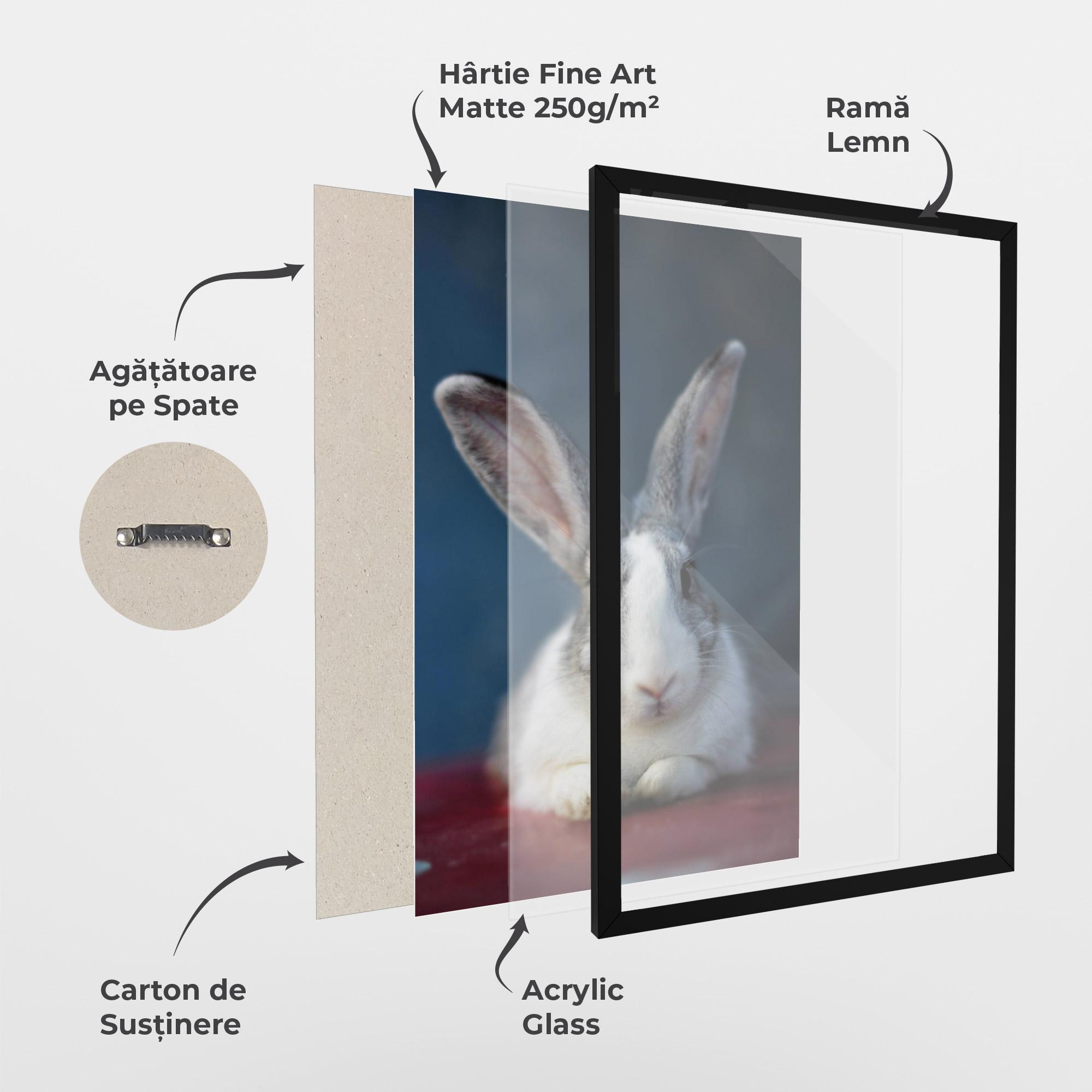 Poster Înrămat Cute Grey Bunny mockup 1