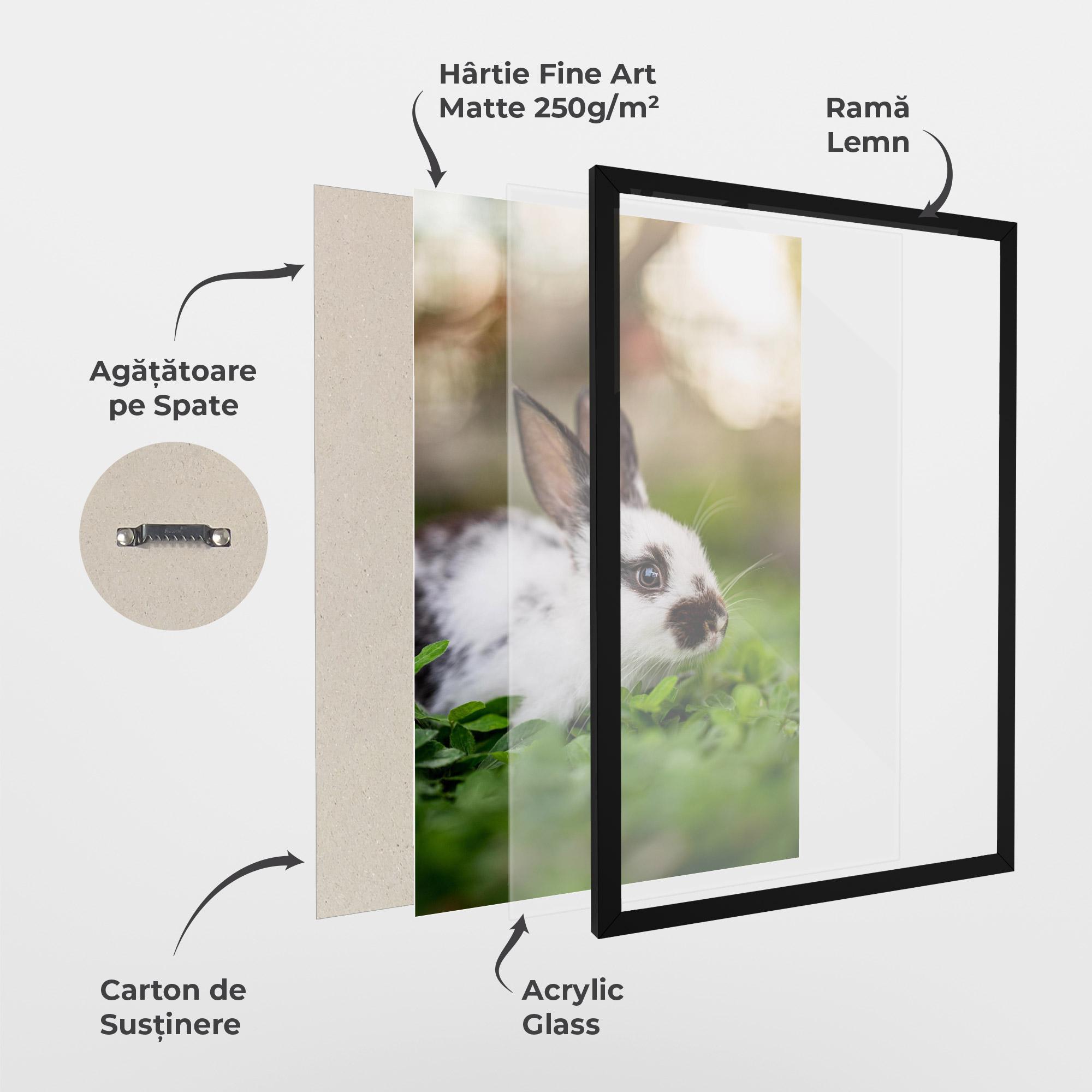 Poster Înrămat White Black Bunny mockup 1