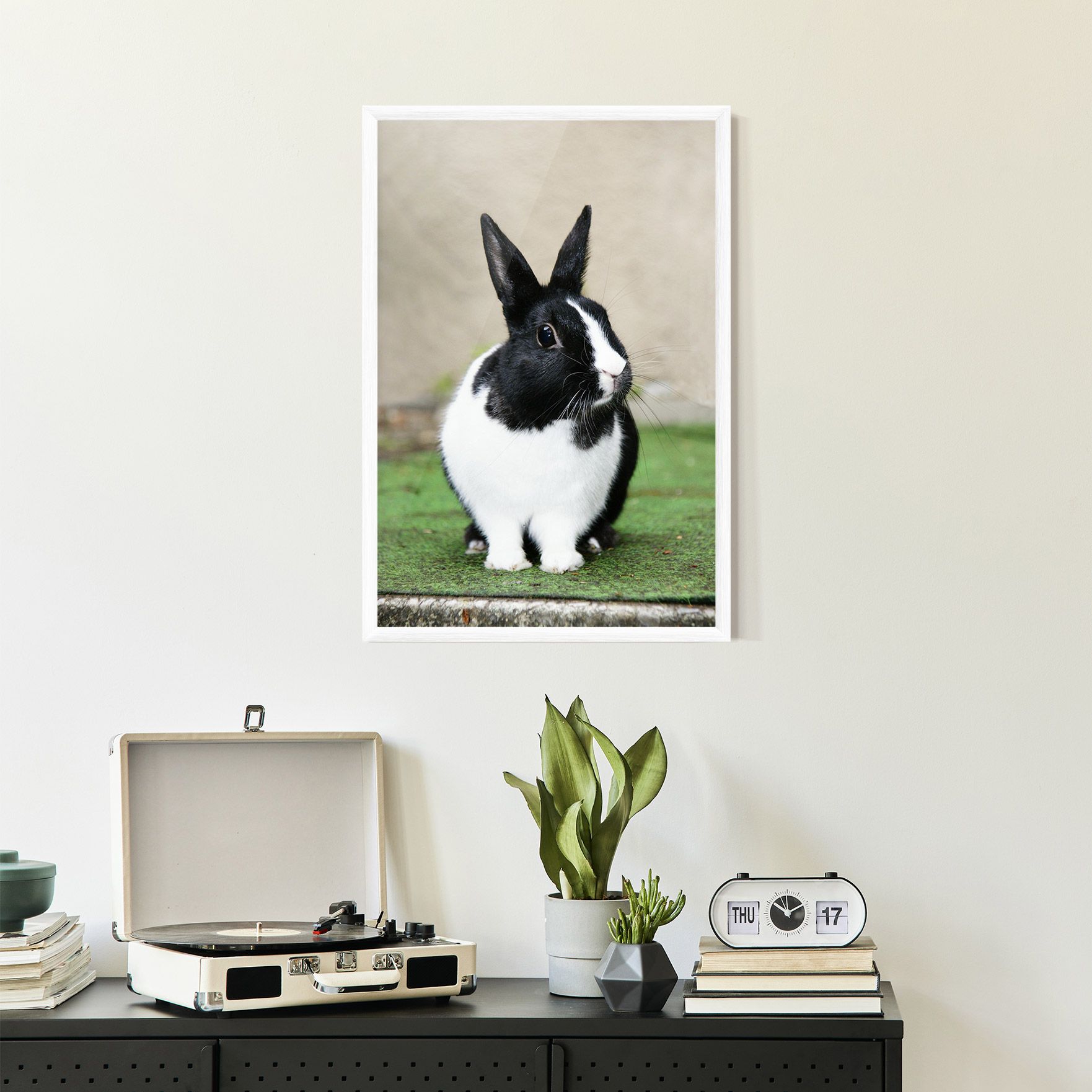 Black Ear Rabbit mockup 2