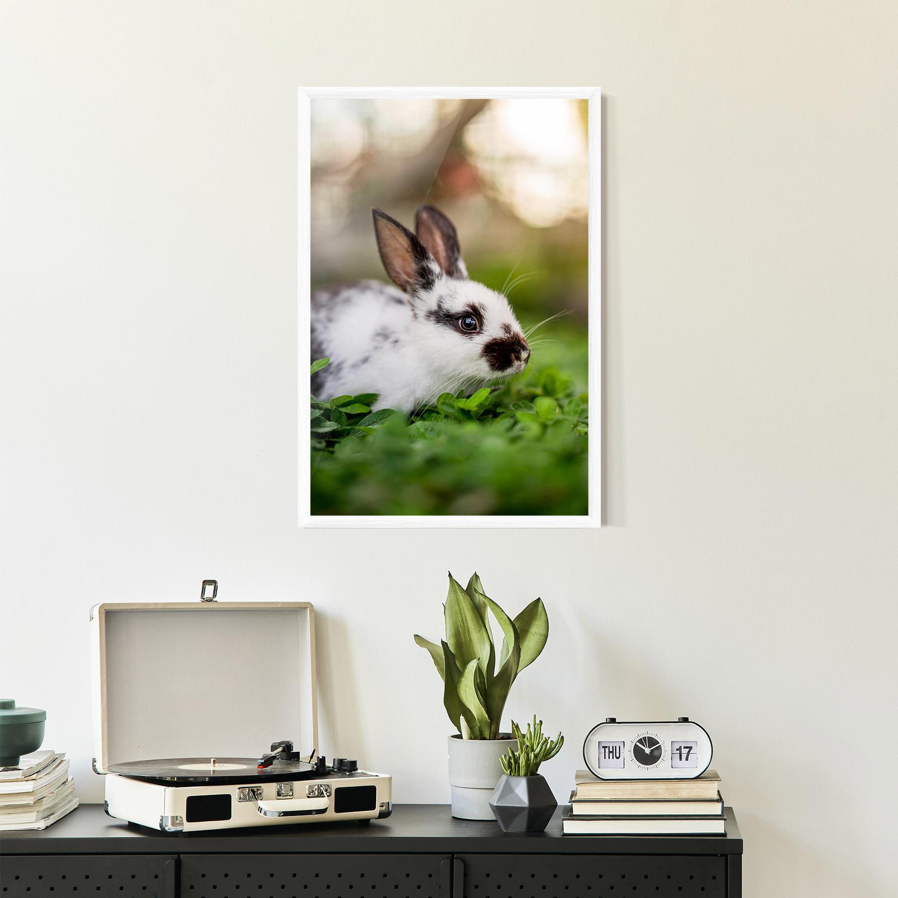 Poster Înrămat White Black Bunny mockup 2