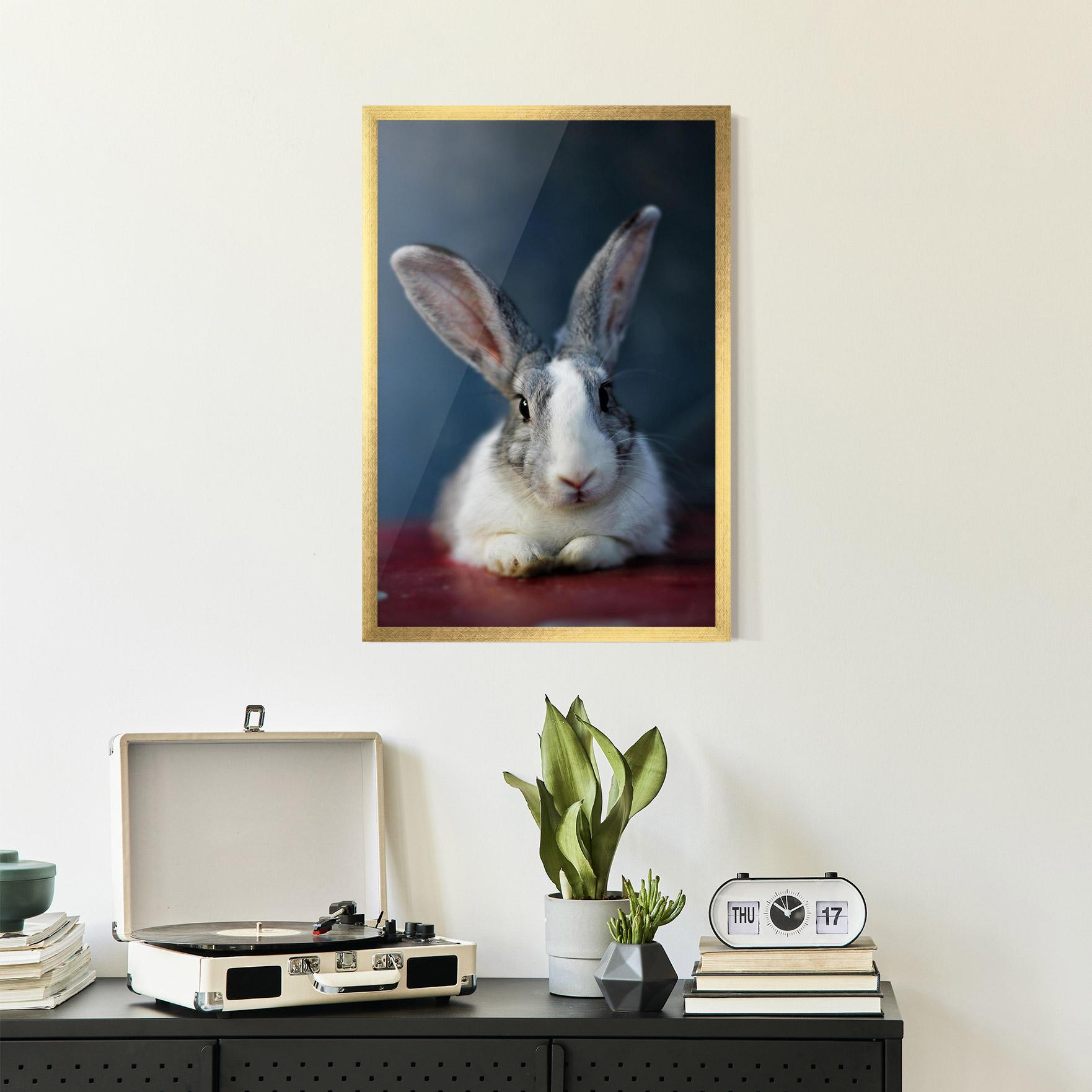Poster Înrămat Cute Grey Bunny mockup 2
