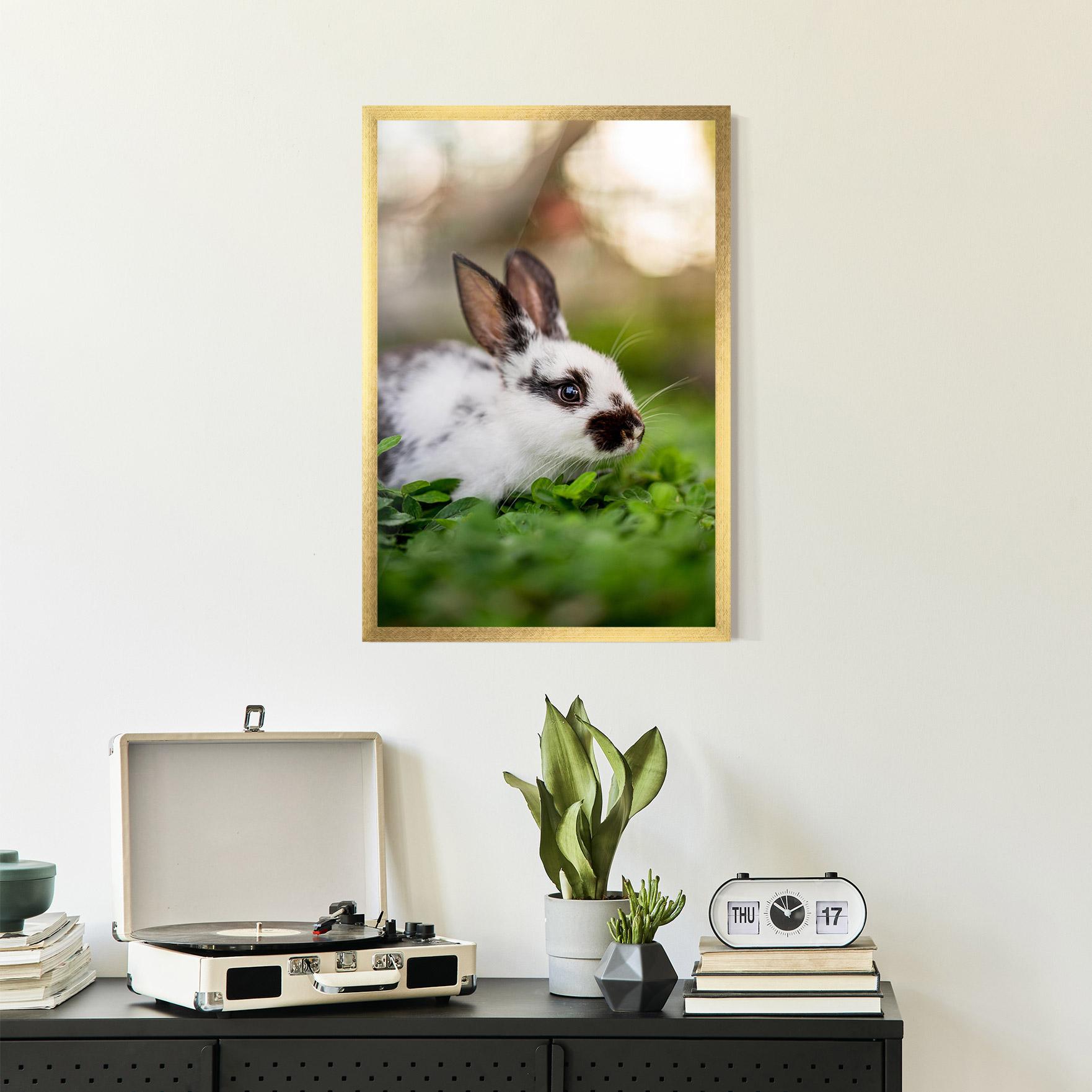 Poster Înrămat White Black Bunny mockup 2