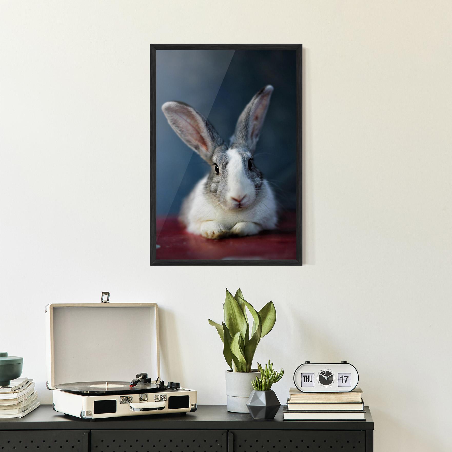Poster Înrămat Cute Grey Bunny mockup 2