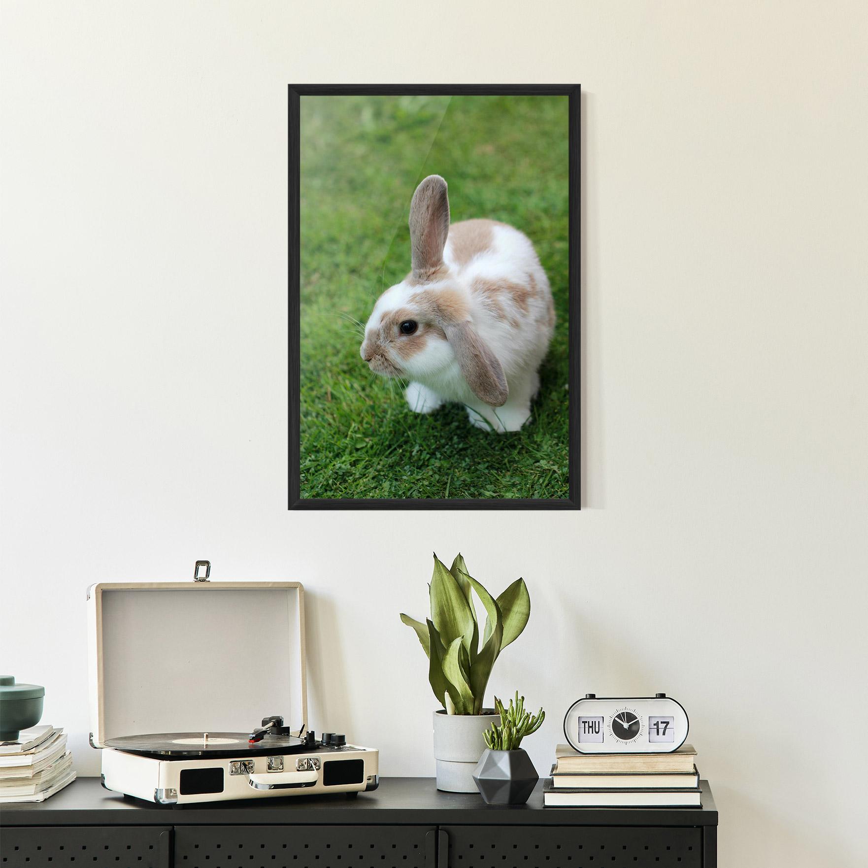 Poster Înrămat Light Orange Bunny mockup 2