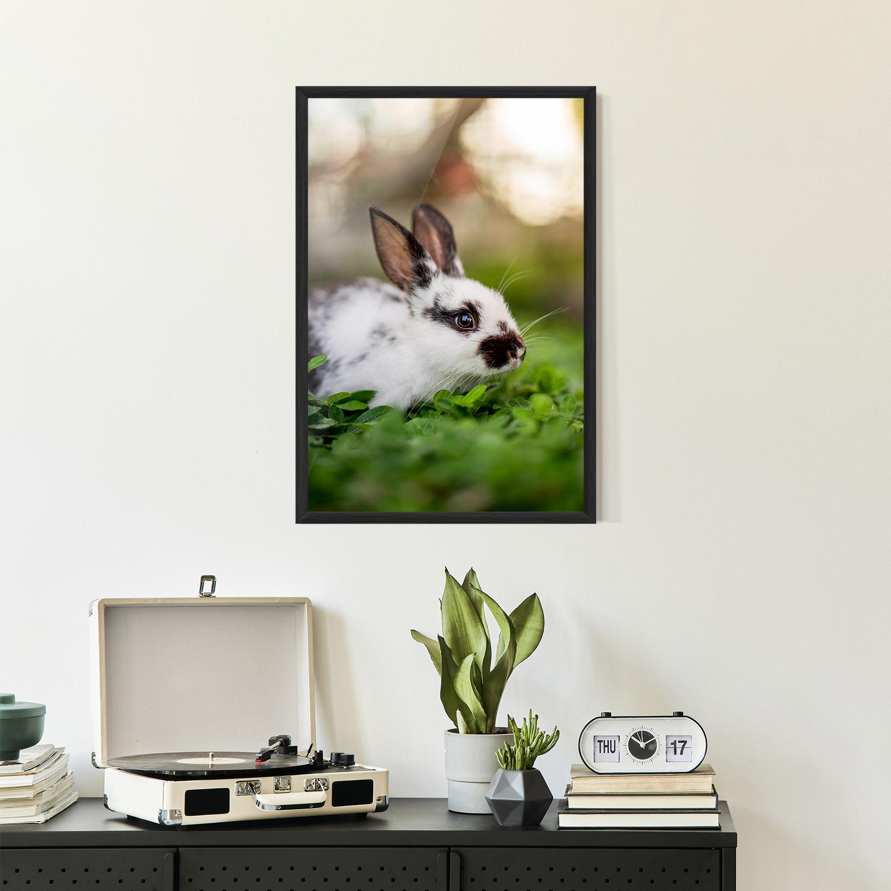 Poster Înrămat White Black Bunny mockup 2