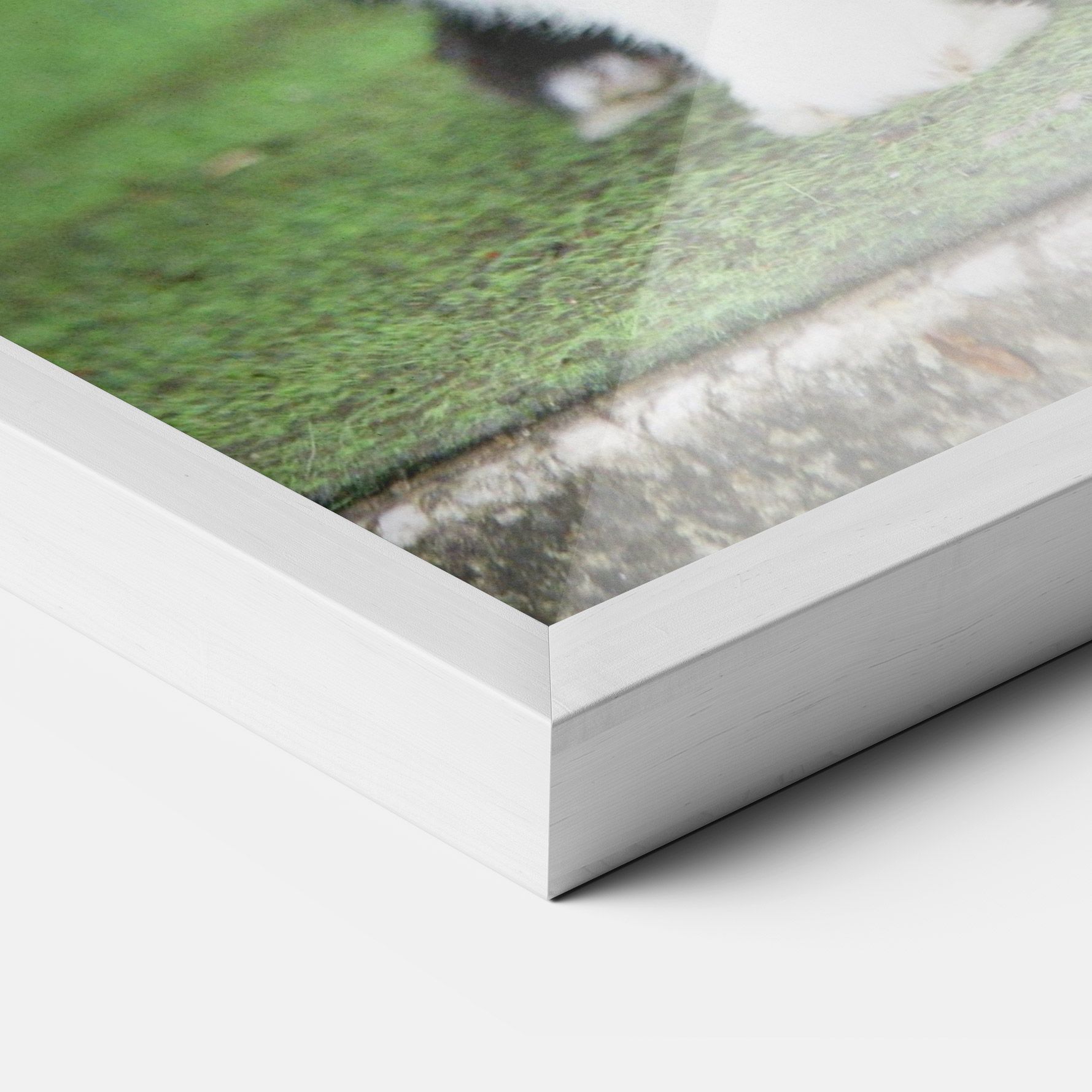 Black Ear Rabbit mockup 3