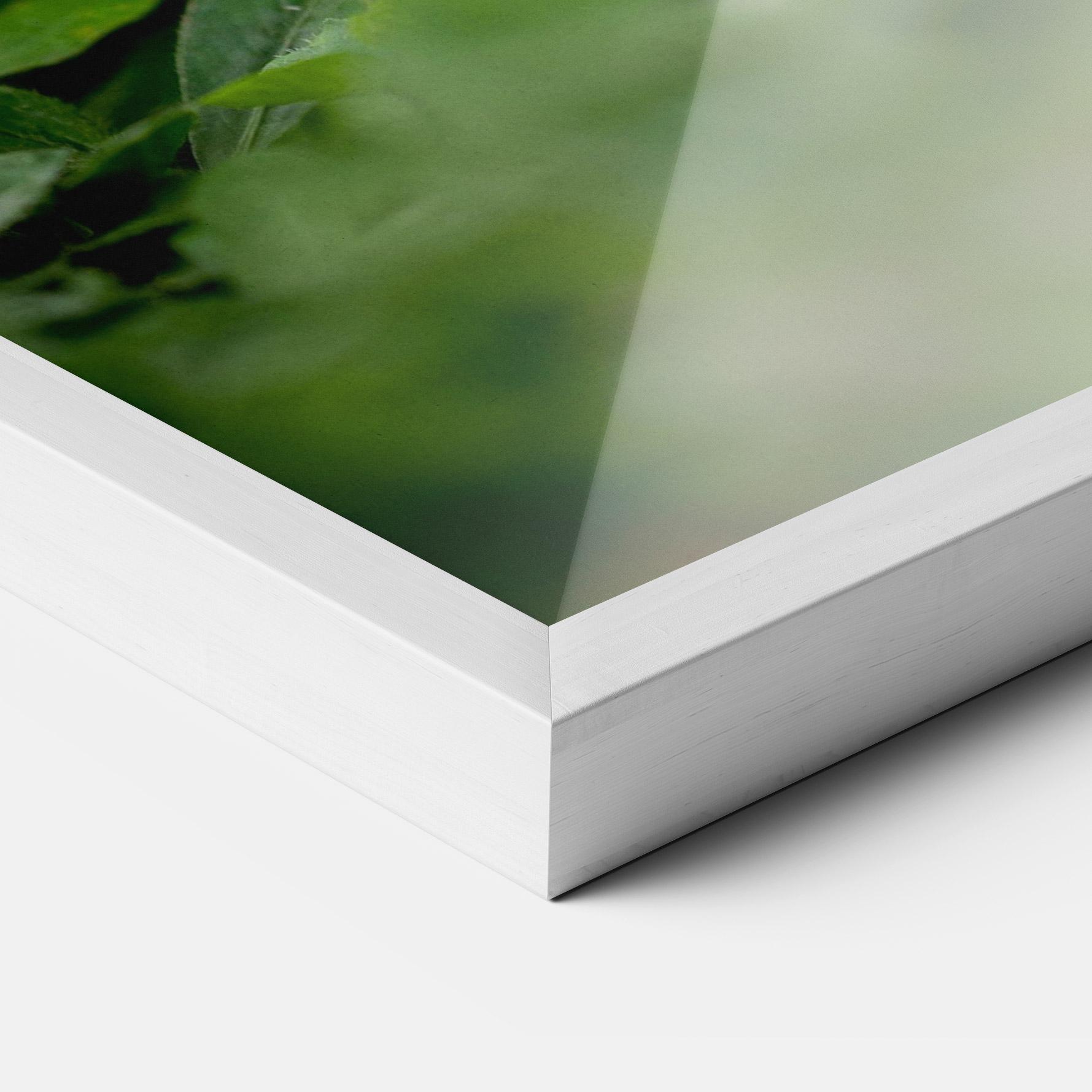 Poster Înrămat White Black Bunny mockup 3