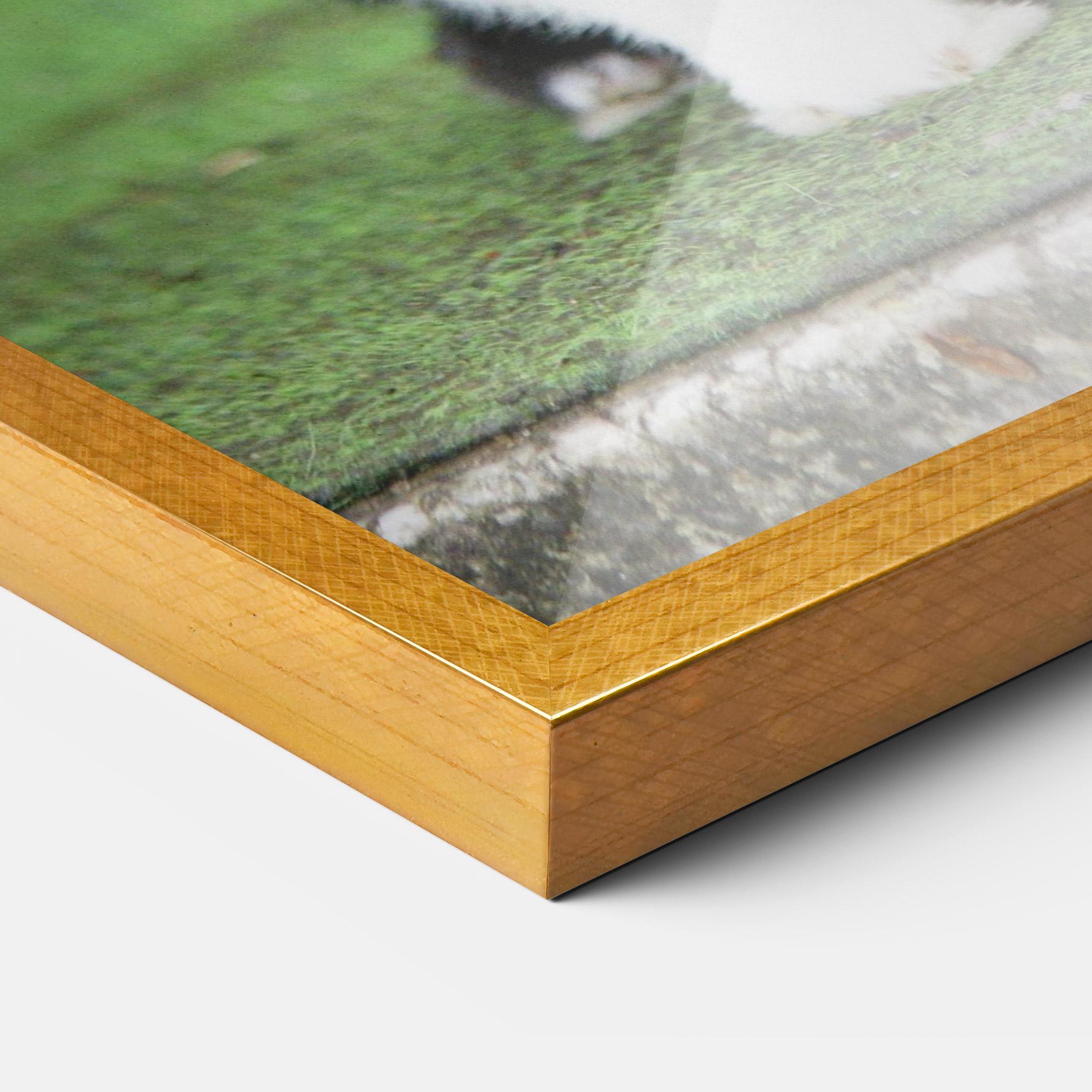 Poster Înrămat Black Ear Rabbit mockup 3