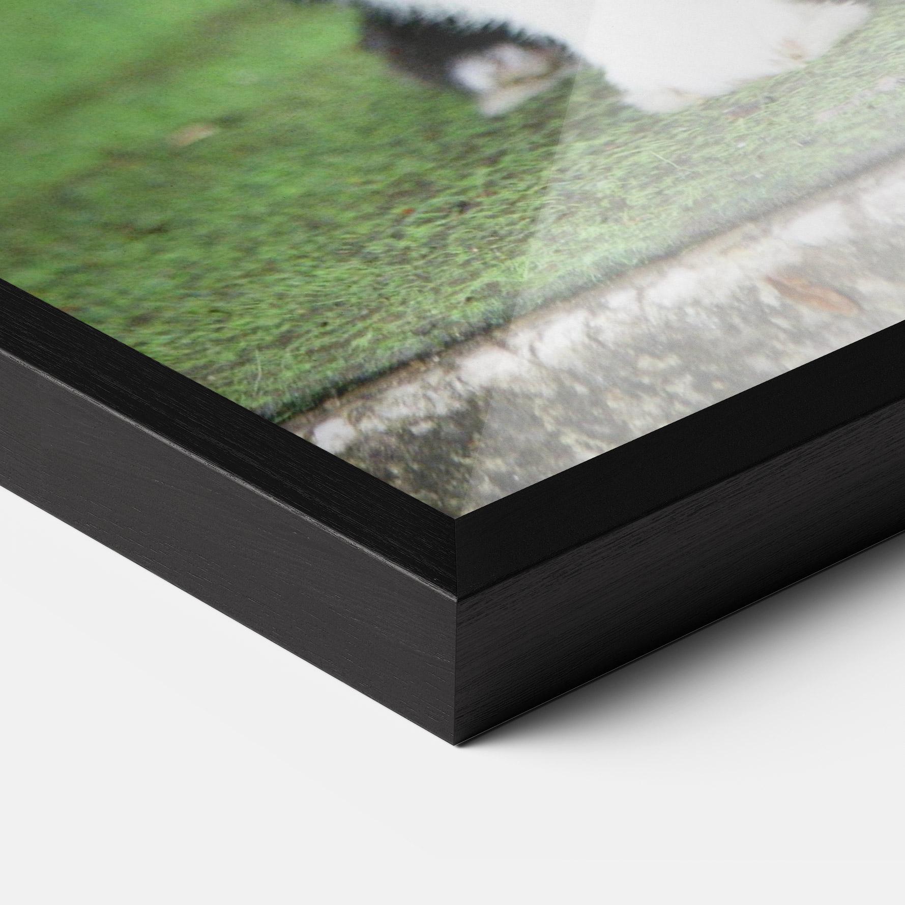 Poster Înrămat Black Ear Rabbit mockup 3