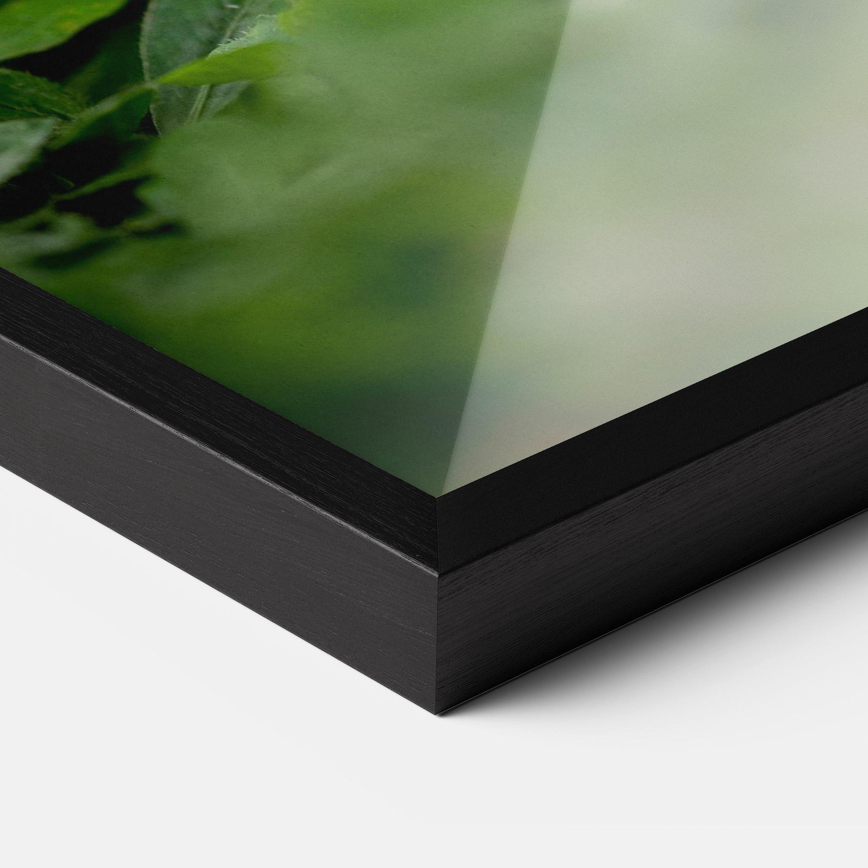 Poster Înrămat White Black Bunny mockup 3