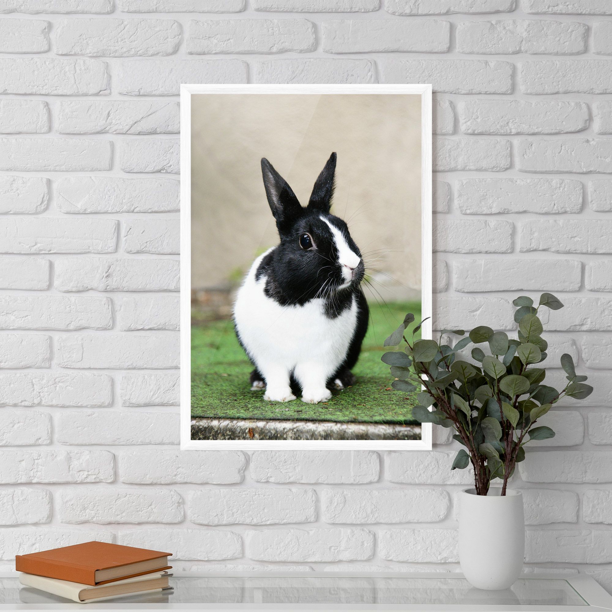 Black Ear Rabbit mockup 5