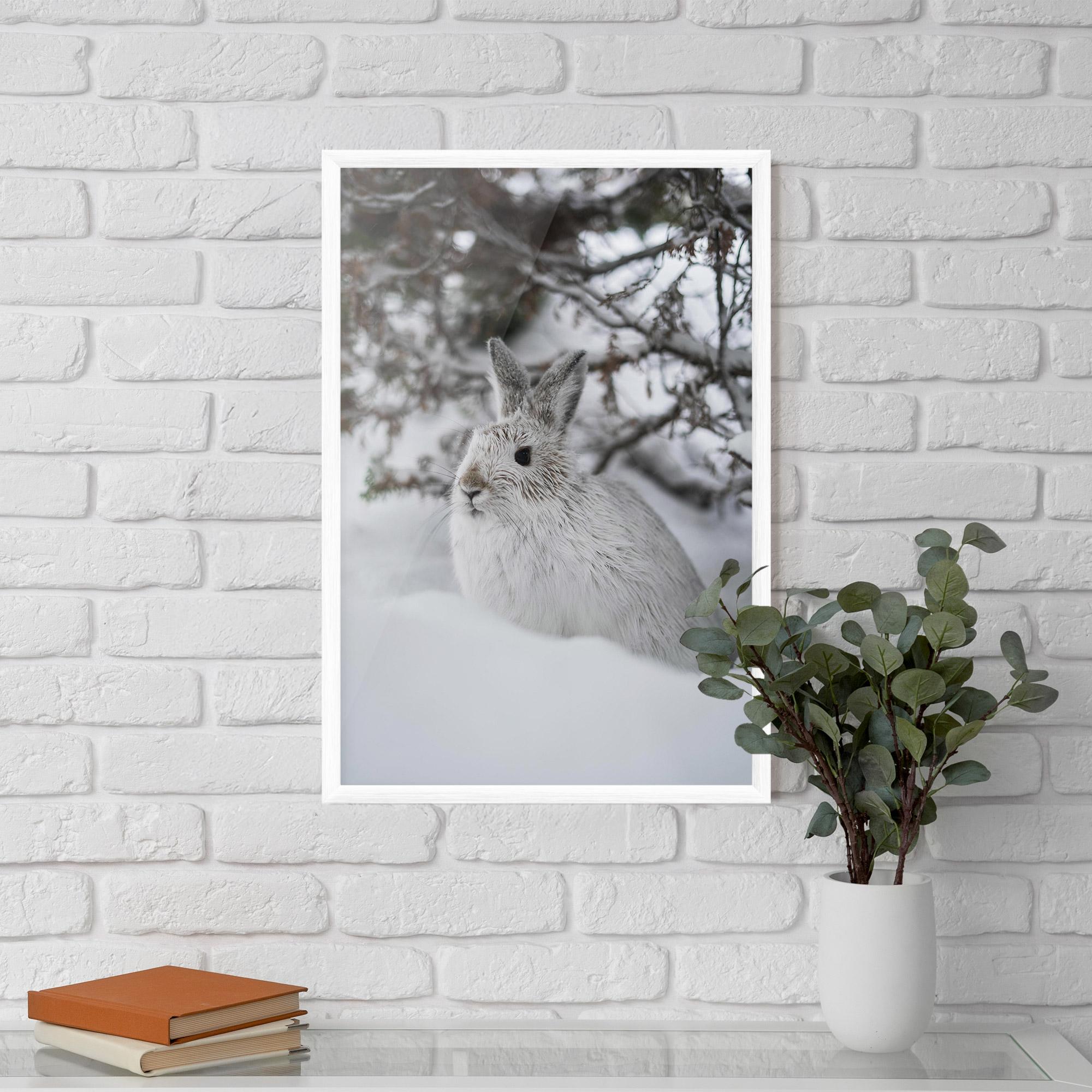 Poster Înrămat Bunny In Snow mockup 5