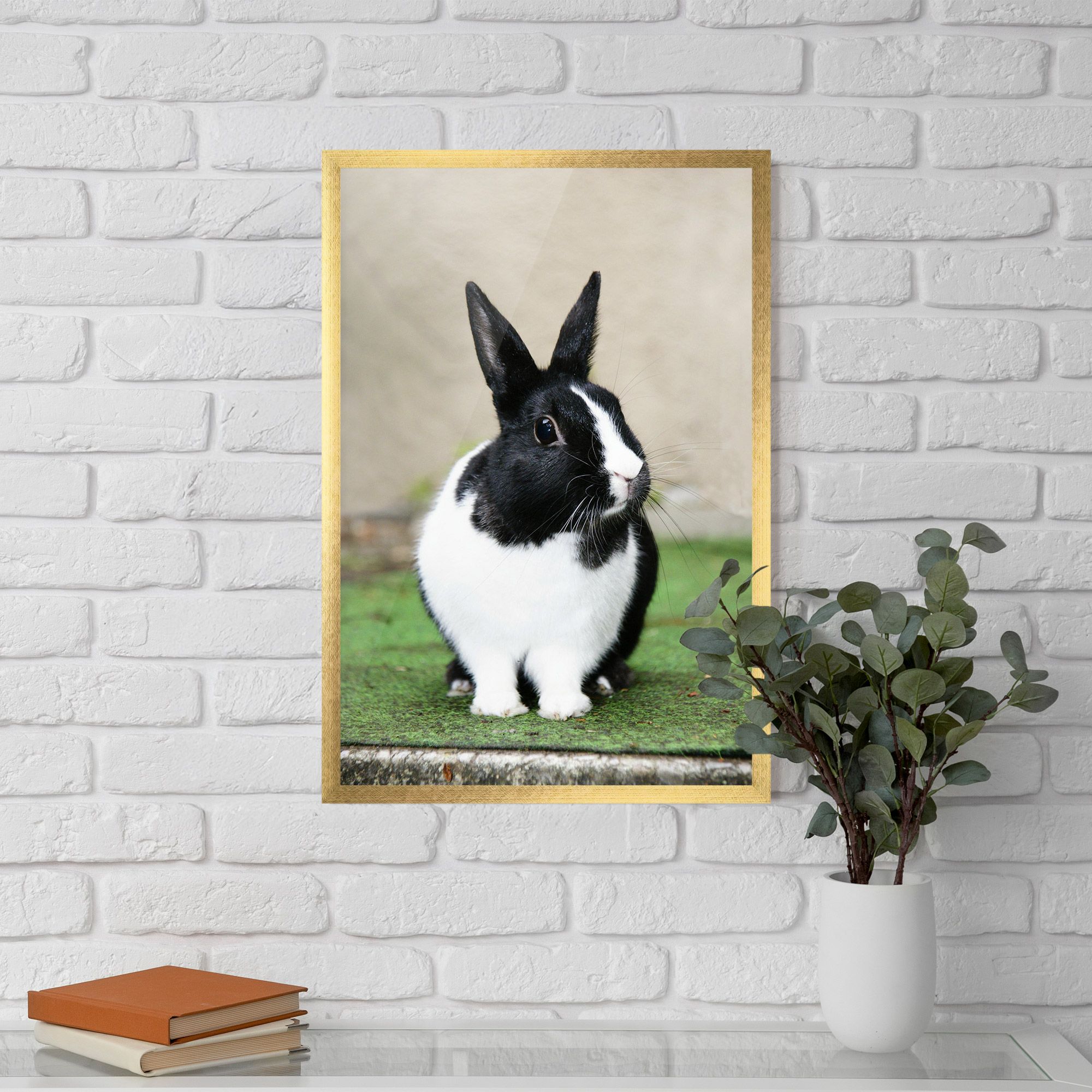 Black Ear Rabbit mockup 5