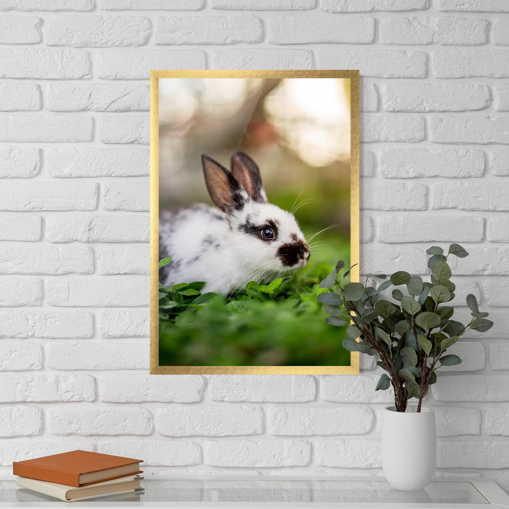 Poster Înrămat White Black Bunny mockup 5