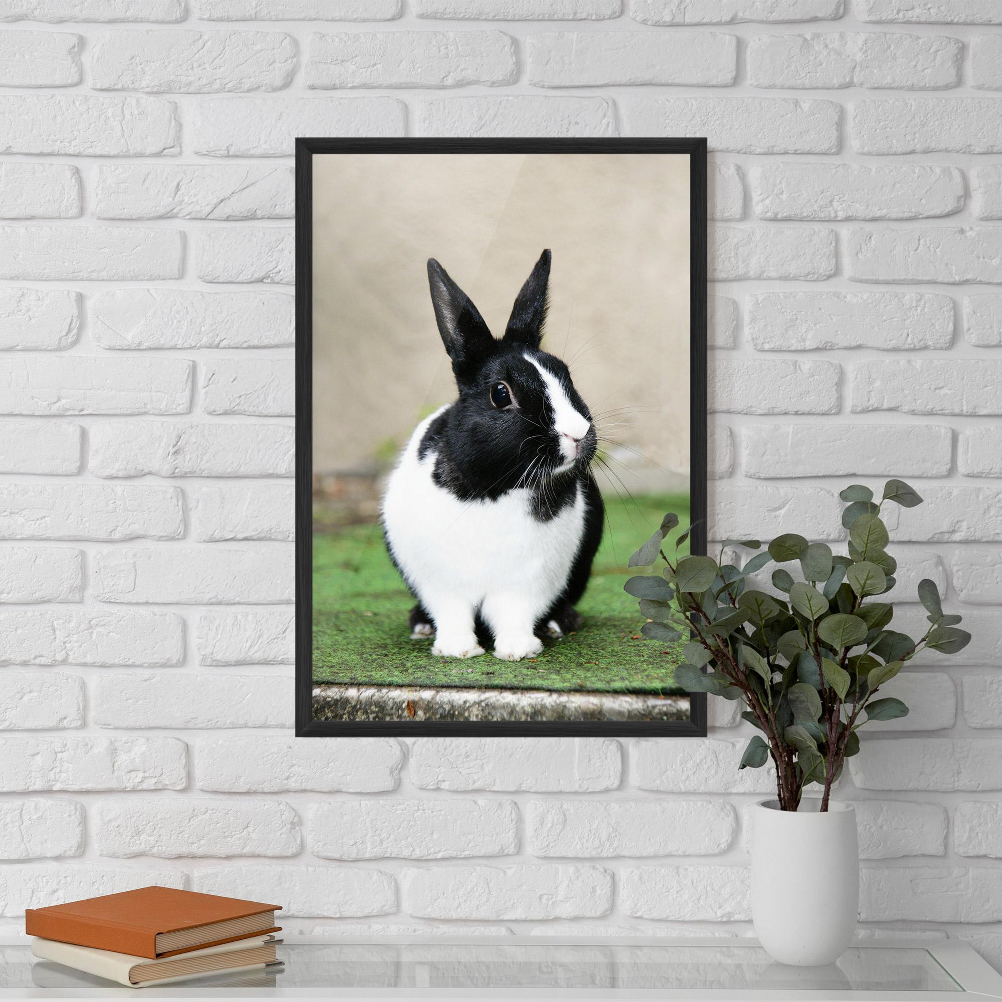 Poster Înrămat Black Ear Rabbit mockup 5