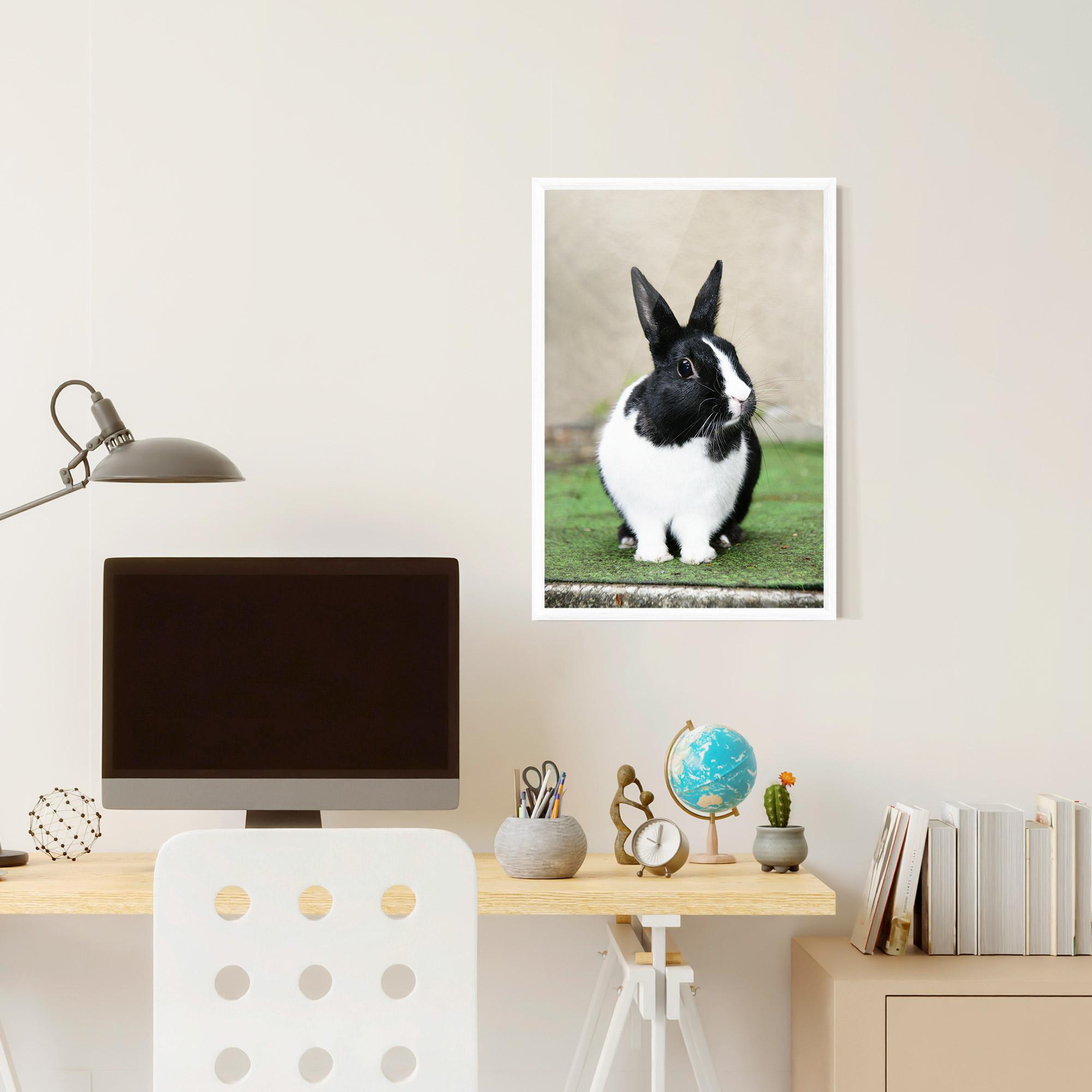 Poster Înrămat Black Ear Rabbit mockup 6