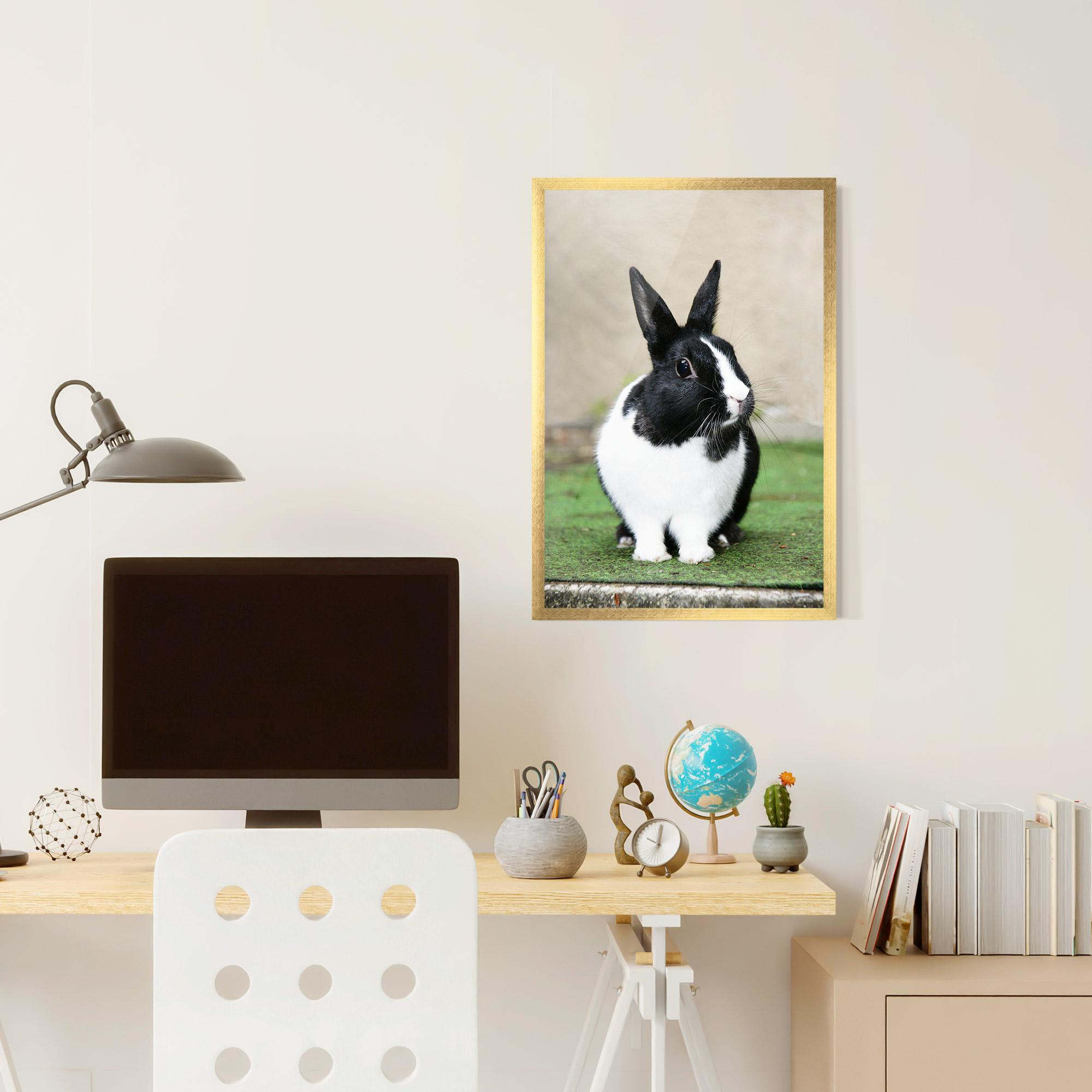 Poster Înrămat Black Ear Rabbit mockup 6