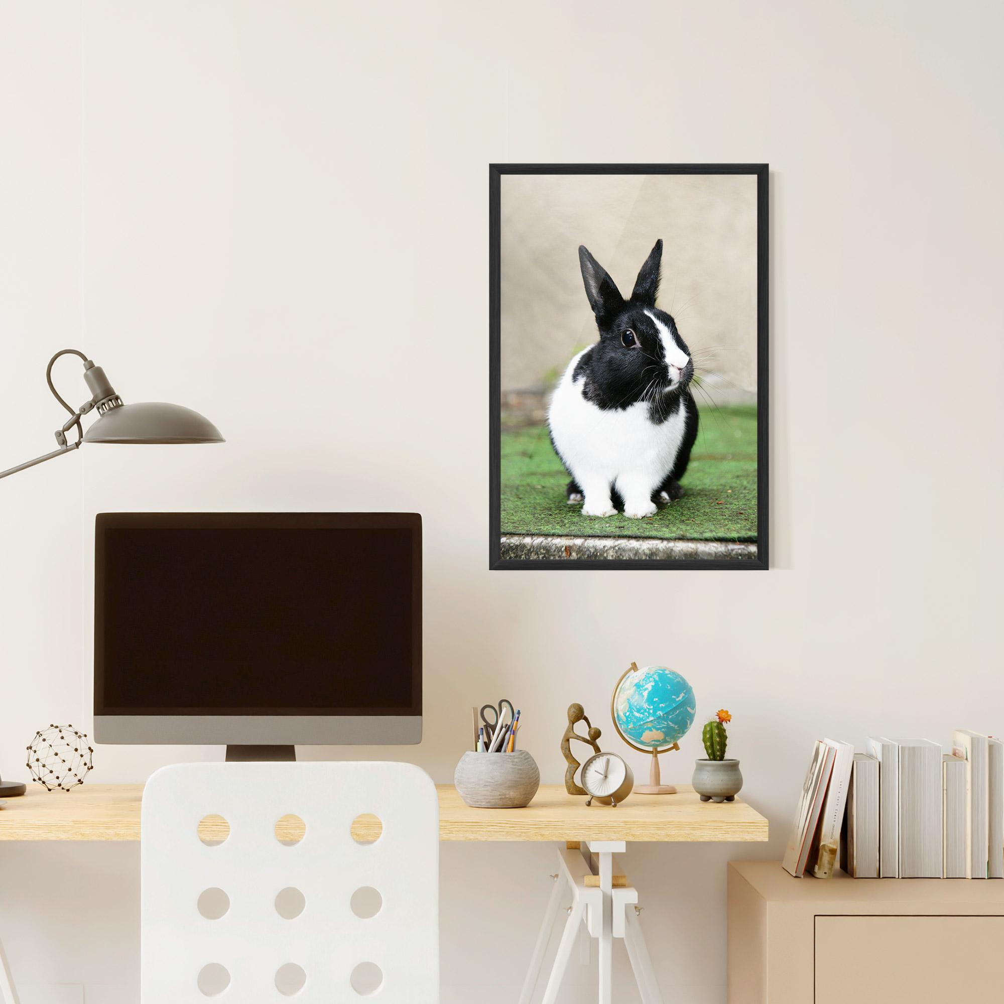 Poster Înrămat Black Ear Rabbit mockup 6