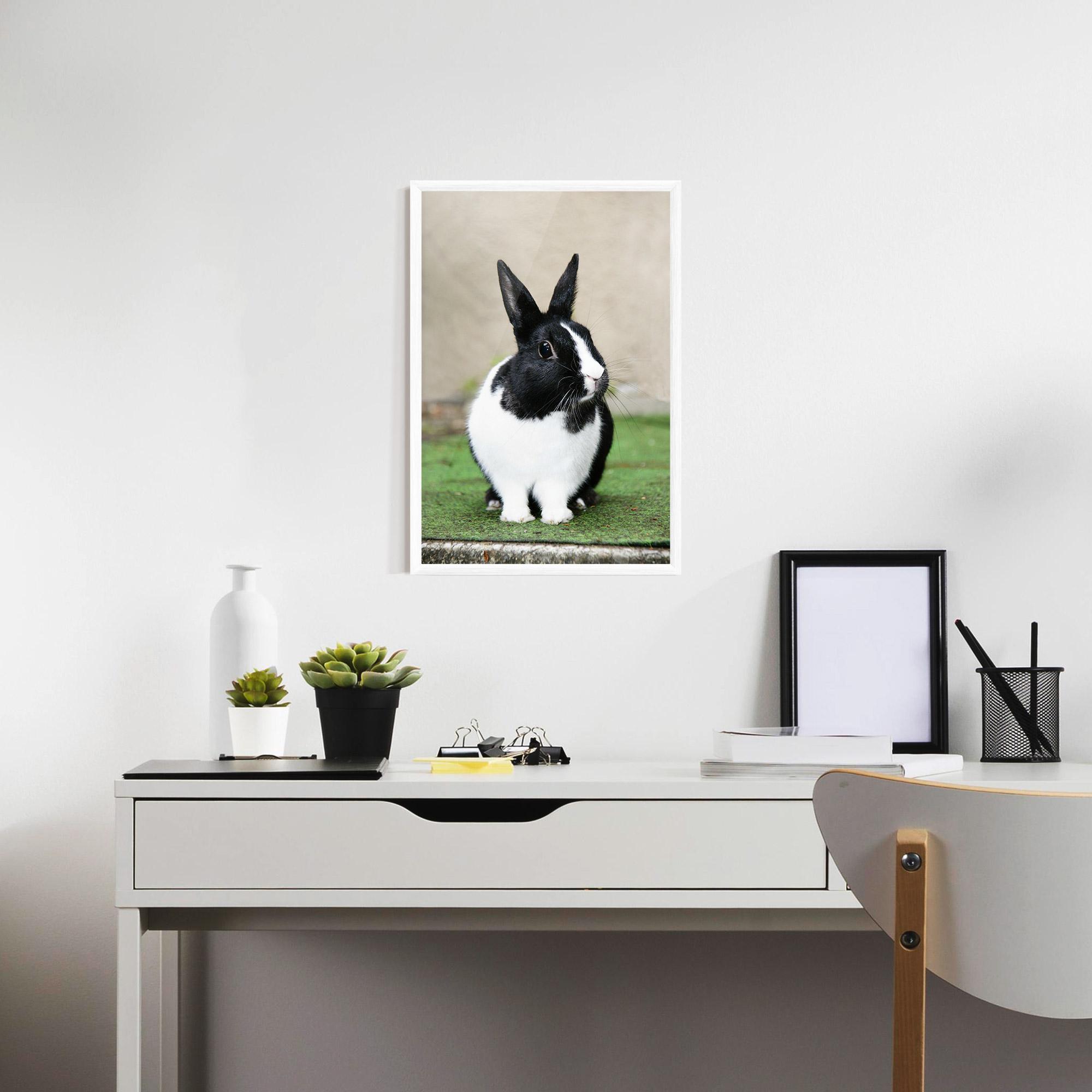 Poster Înrămat Black Ear Rabbit mockup 7