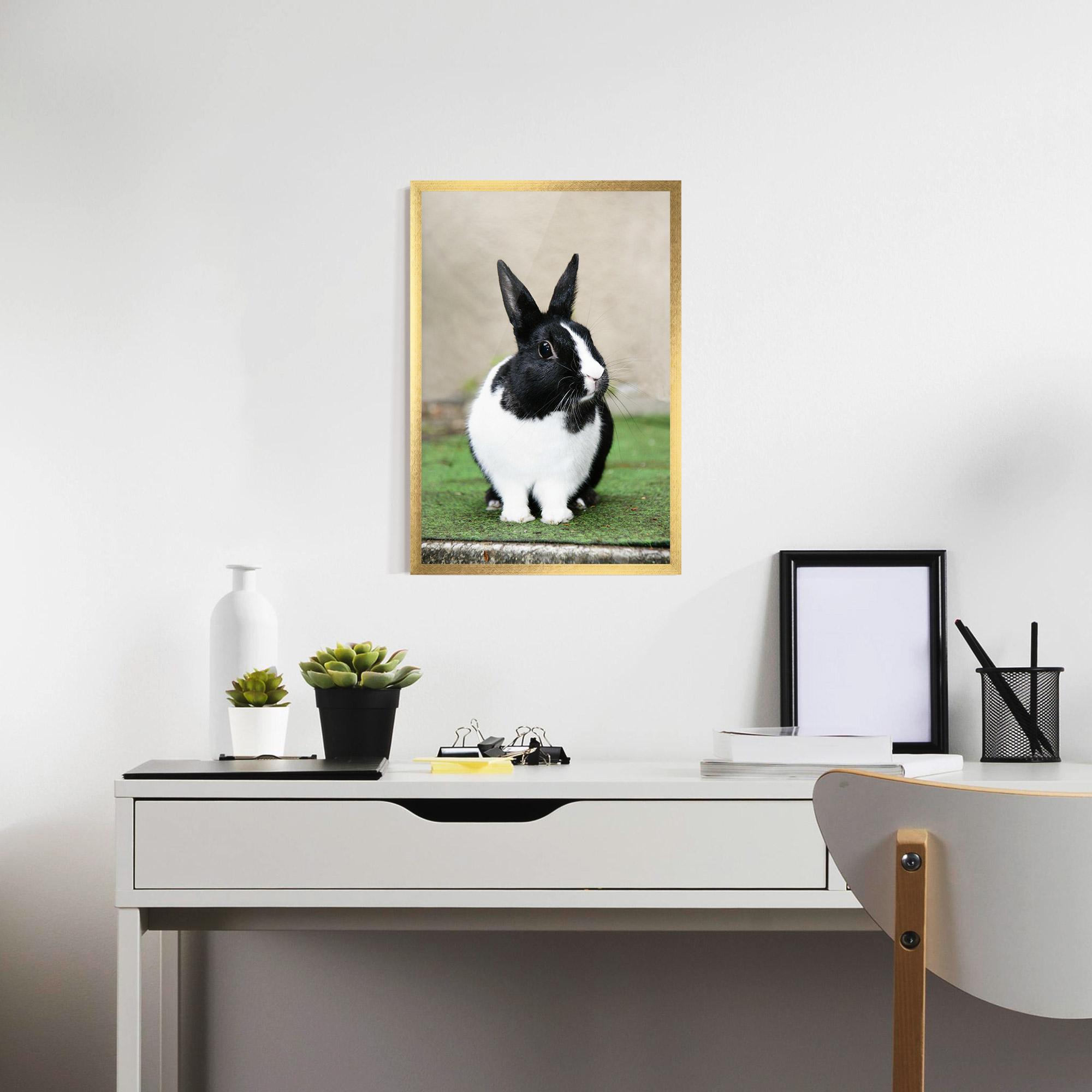 Poster Înrămat Black Ear Rabbit mockup 7