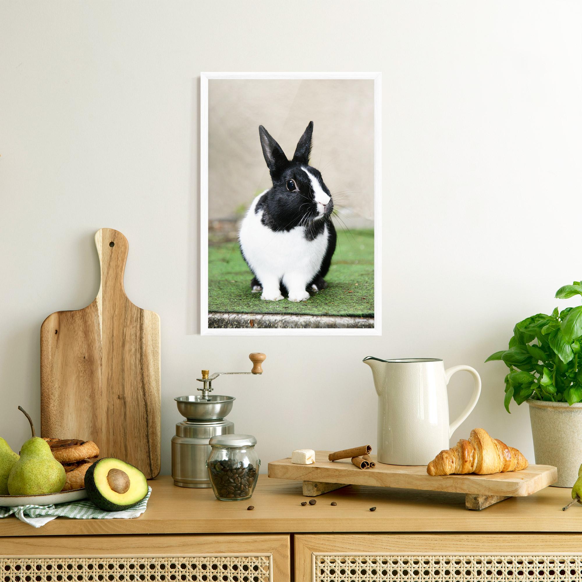 Poster Înrămat Black Ear Rabbit mockup 8