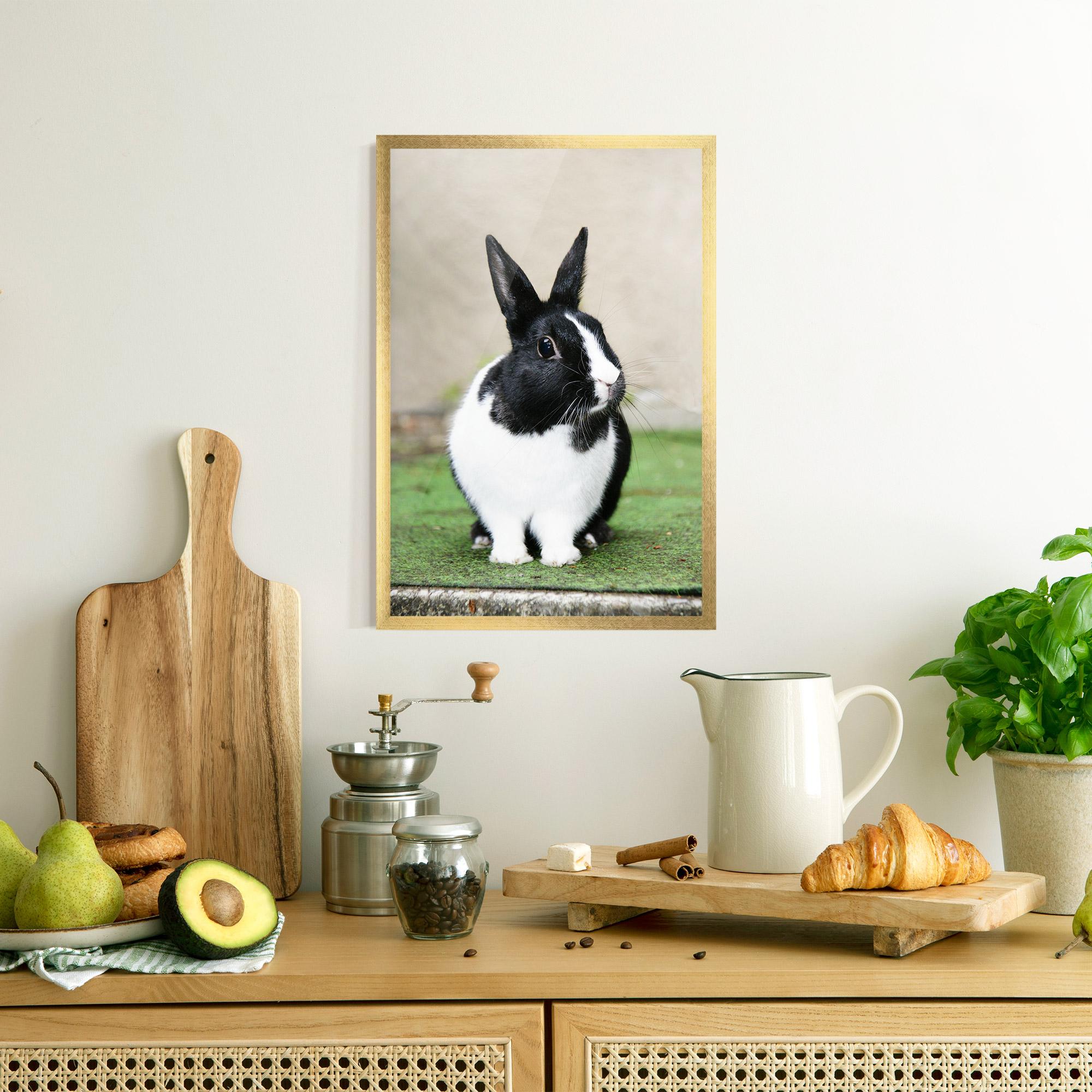 Poster Înrămat Black Ear Rabbit mockup 8