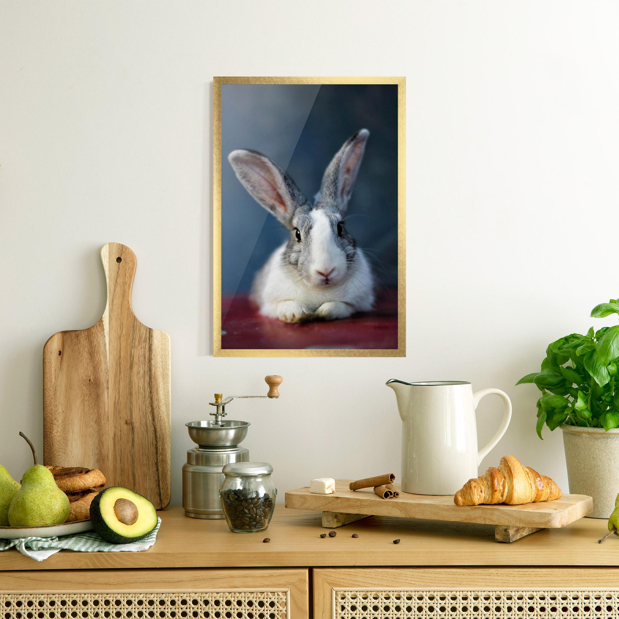 Poster Înrămat Cute Grey Bunny mockup 8