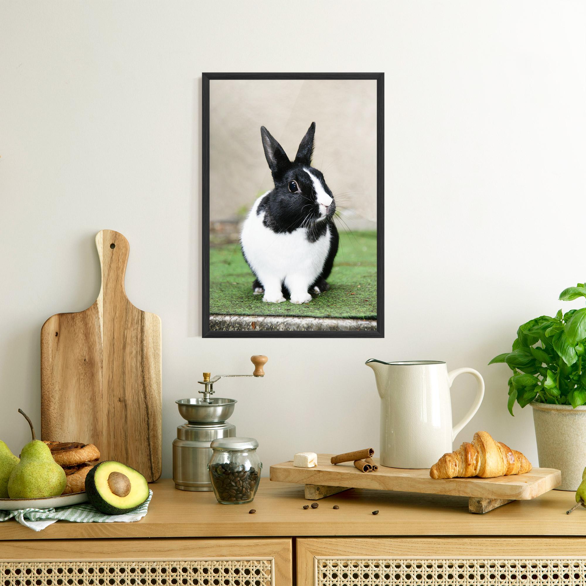 Poster Înrămat Black Ear Rabbit mockup 8