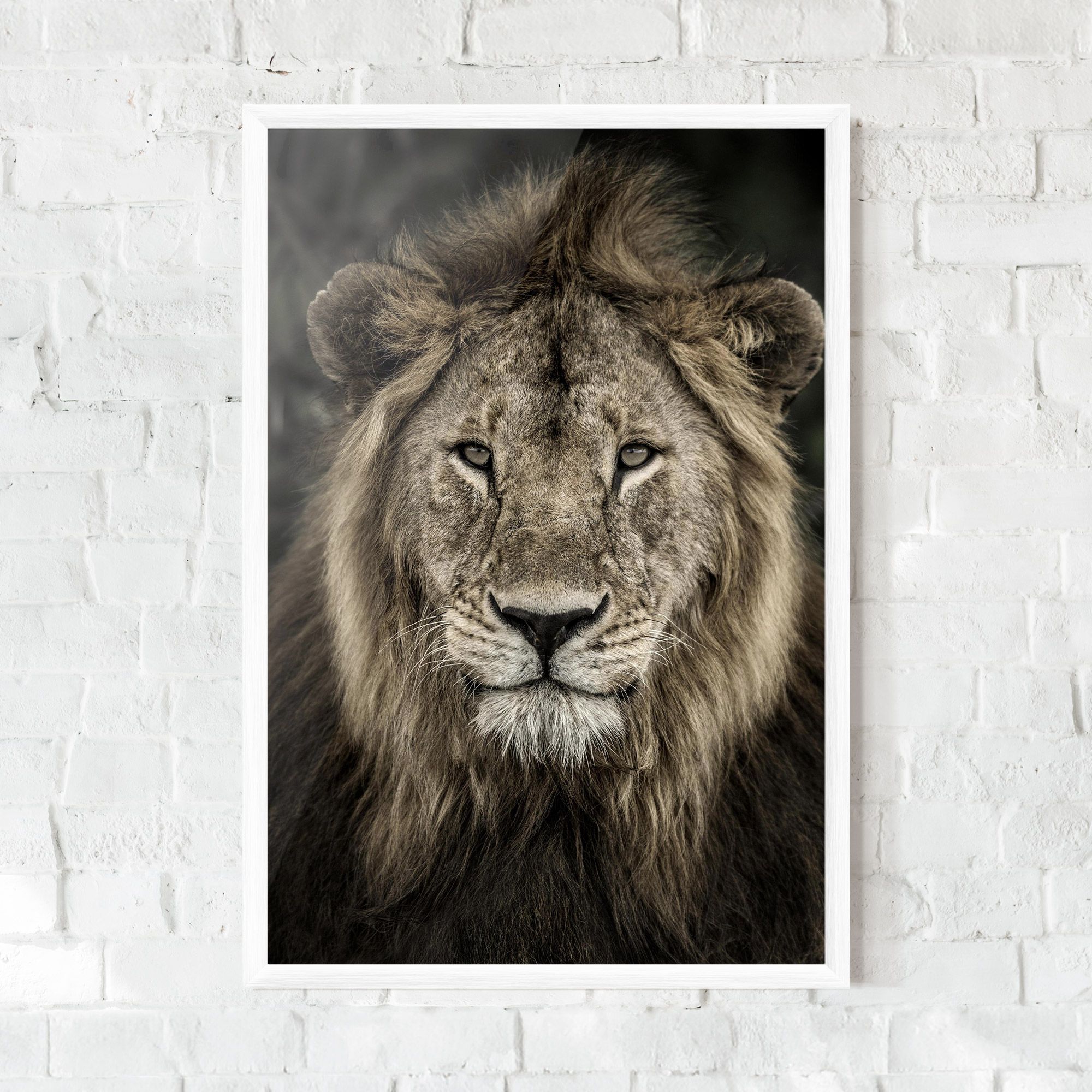 Lion Close Up mockup 0