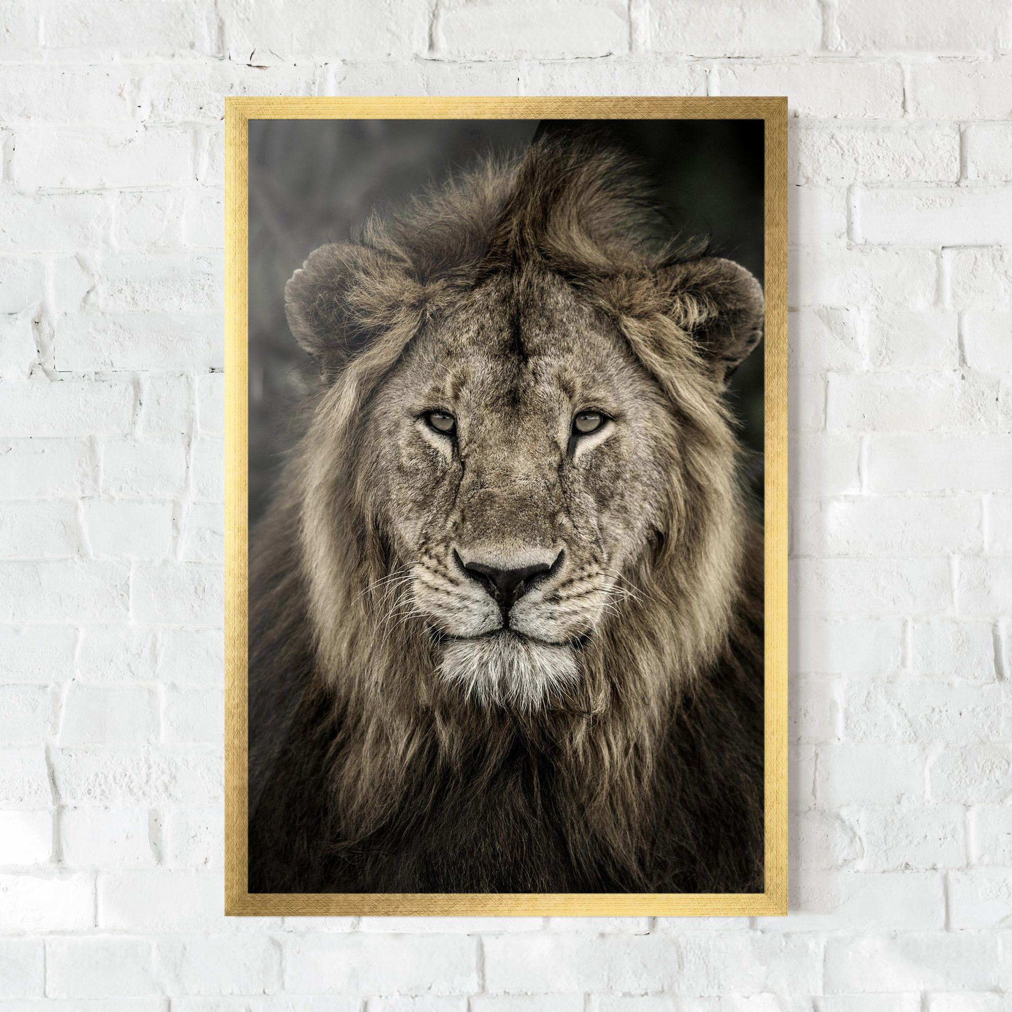 Lion Close Up mockup 0