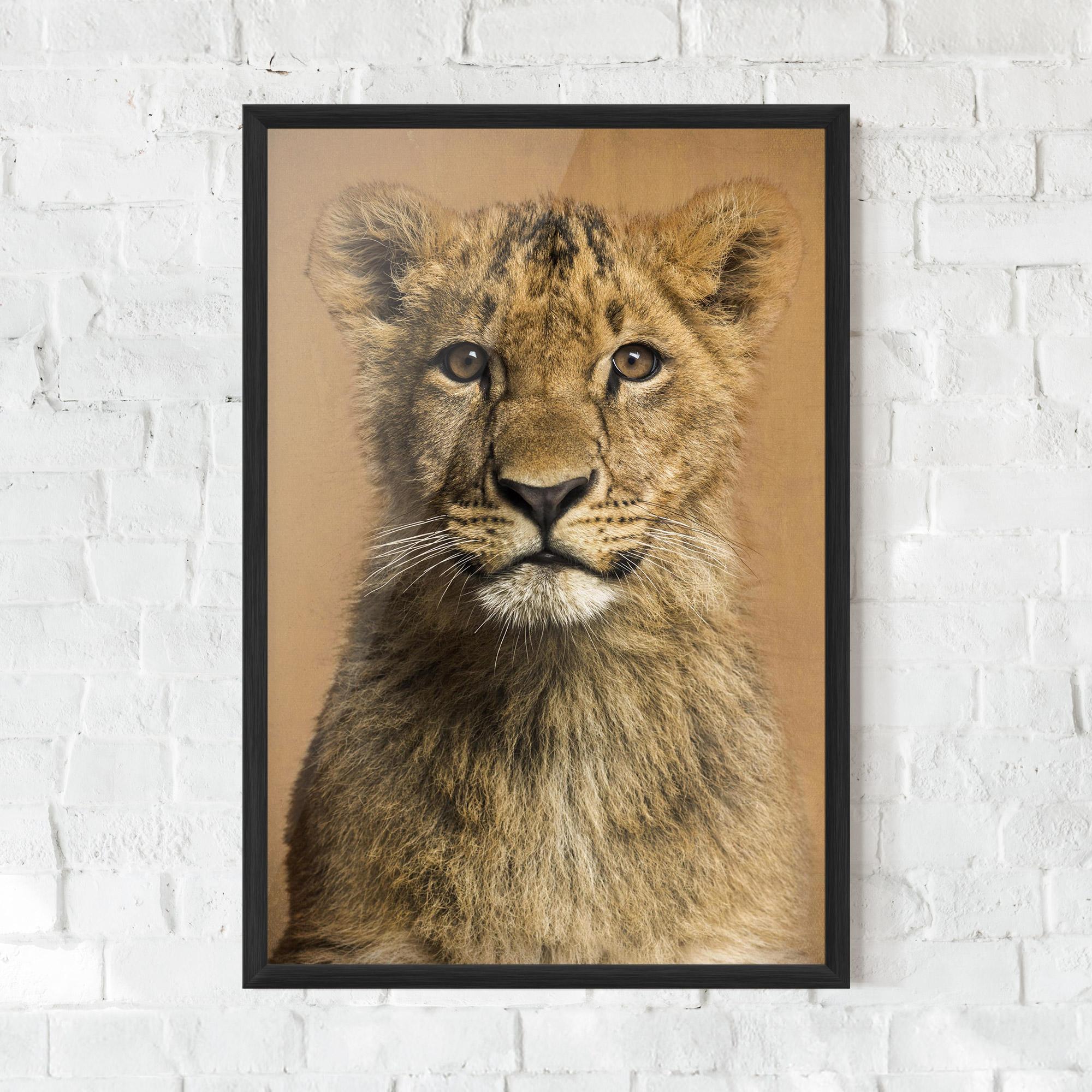 Poster Înrămat Baby Lion mockup 0