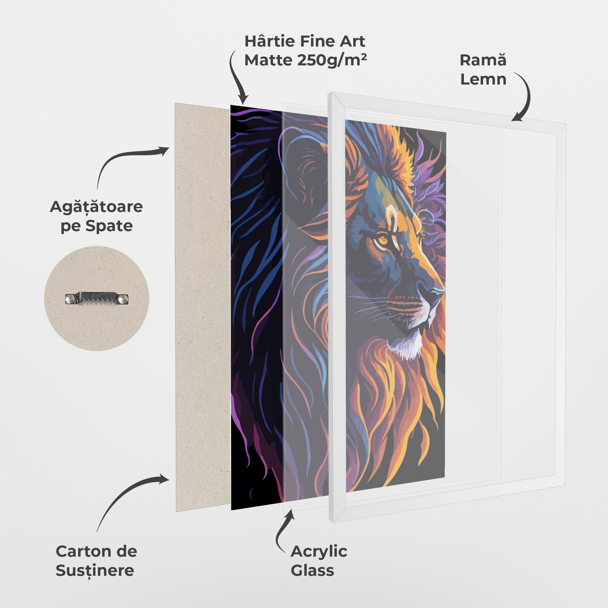 Colorful Lion On Black mockup 1