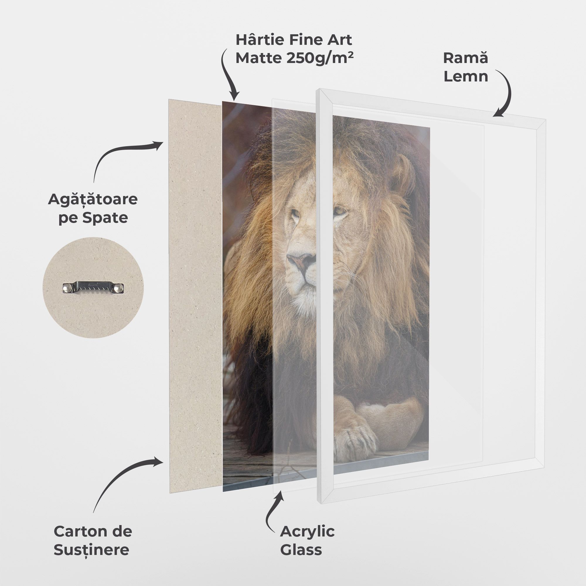 Lion Chilling mockup 1